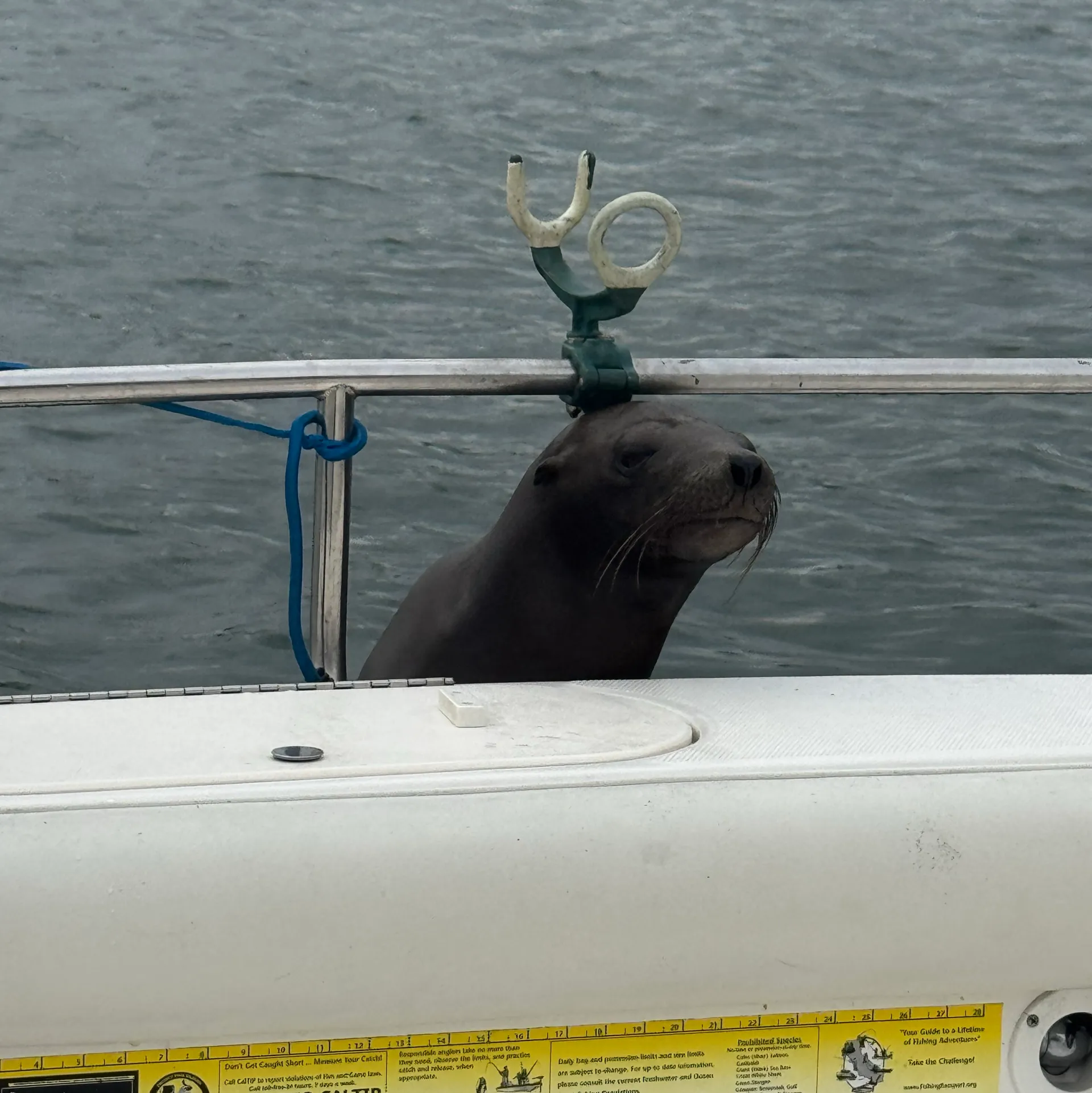 Charter Miss Molly - Swim, Tour, Fish, &amp; more!