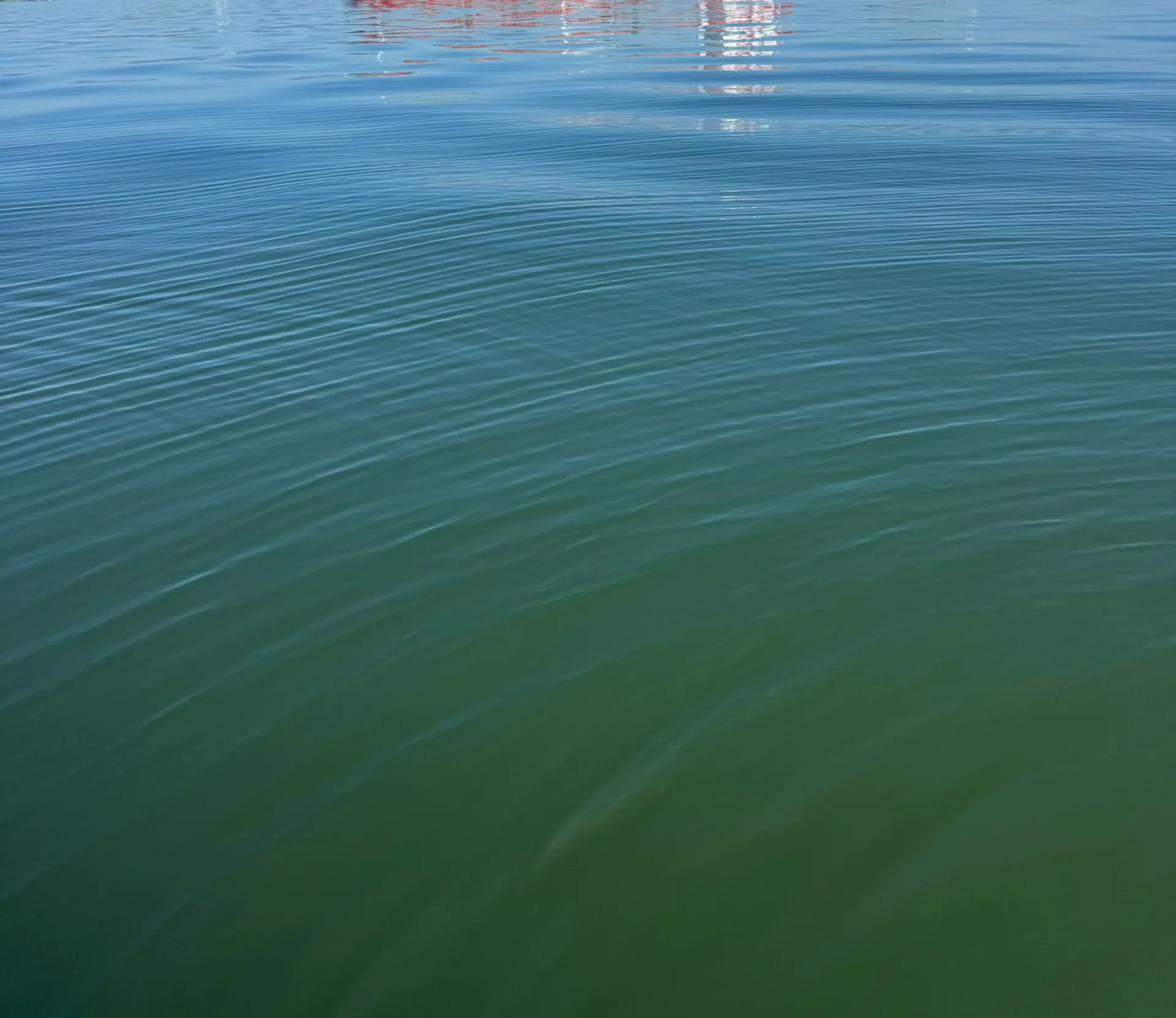 Charter Miss Molly - Swim, Tour, Fish, &amp; more!