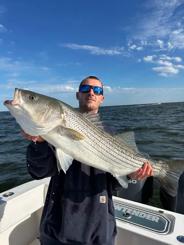 Rent a Contender Boats center console in Highlands, NJ near me