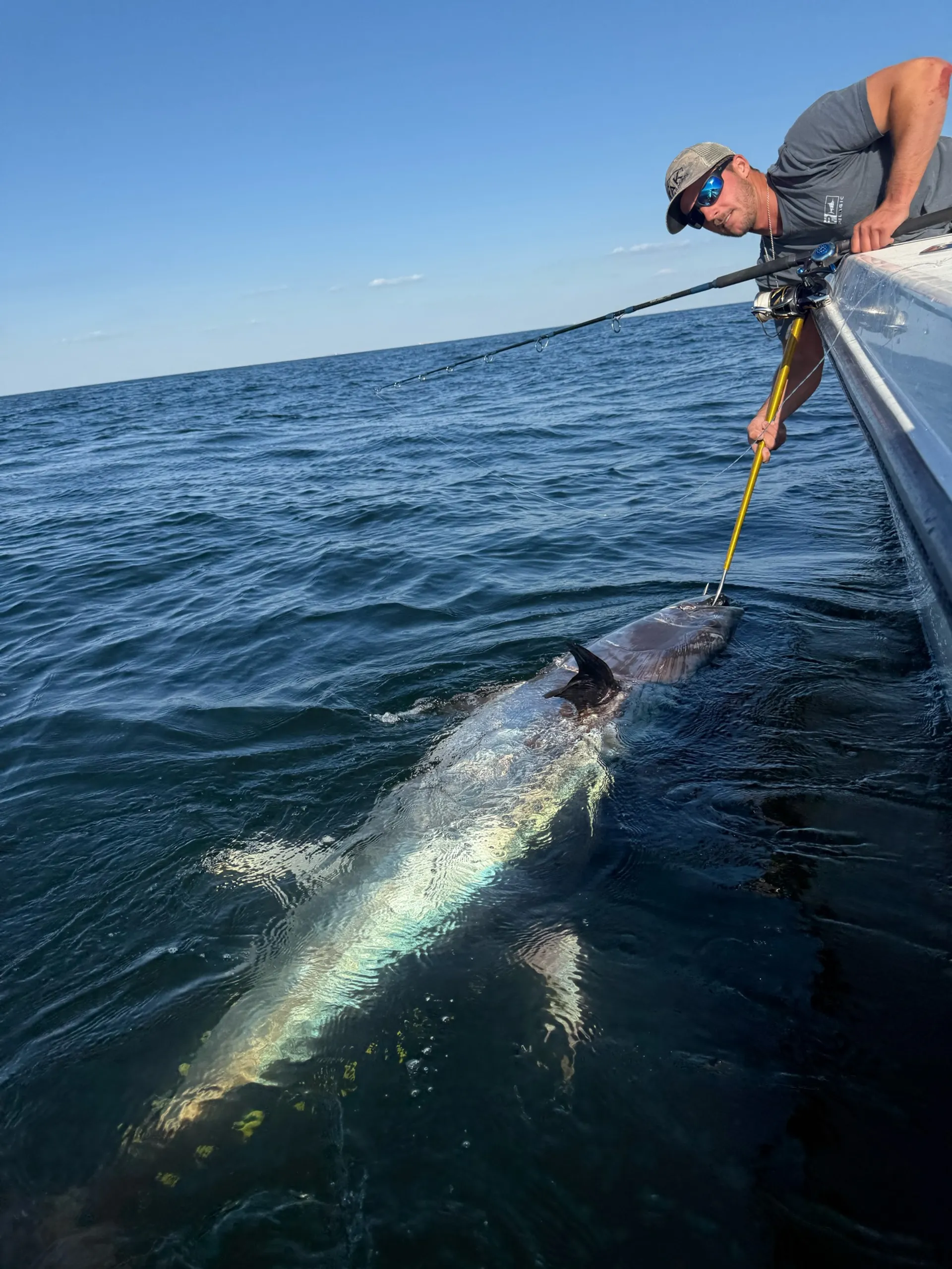 30’ Contender , Striper fishing / Tuna fishing / Cruising NJ - NYC !
