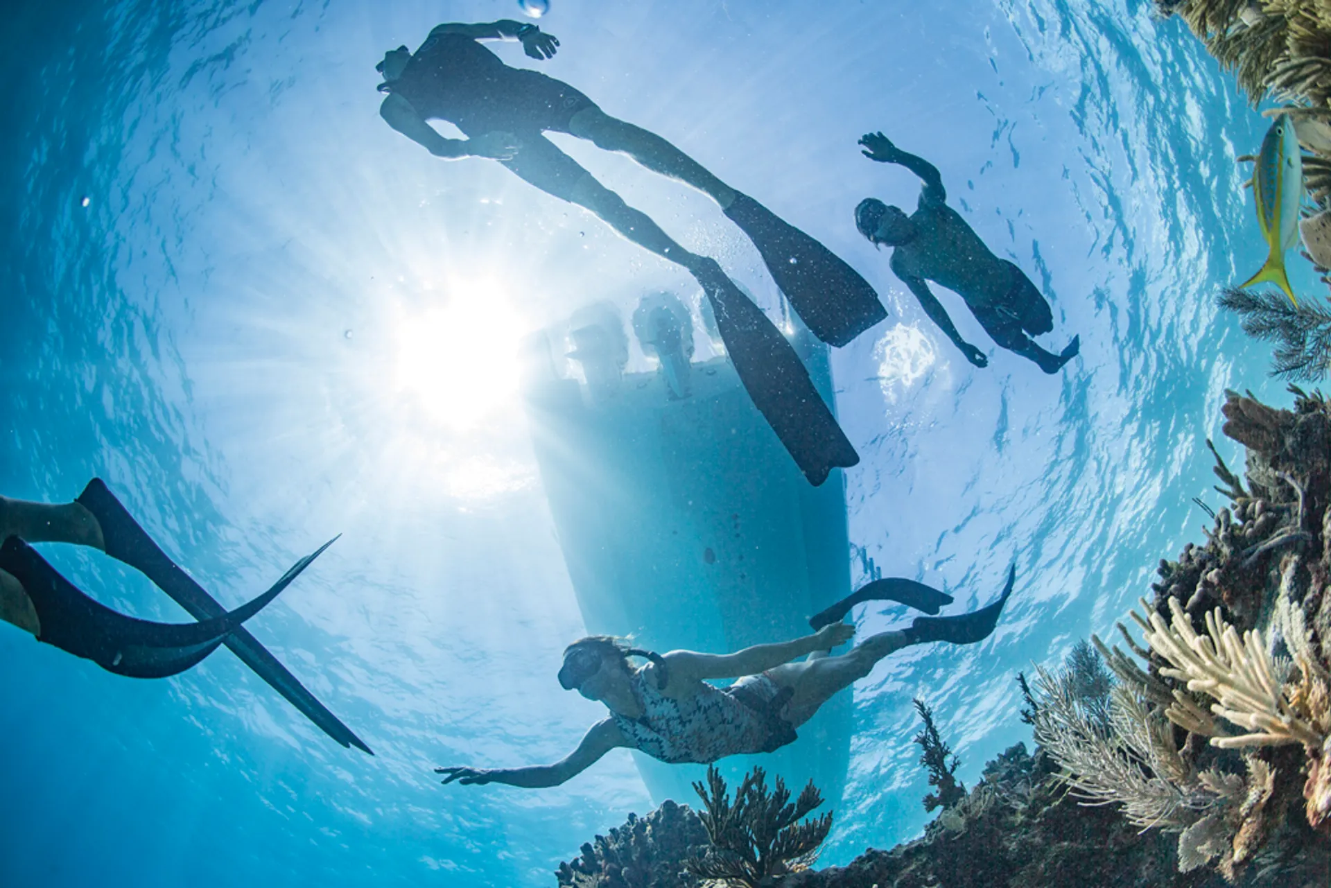 43ft Luxury Sport Yacht (Tiara Pursuit)