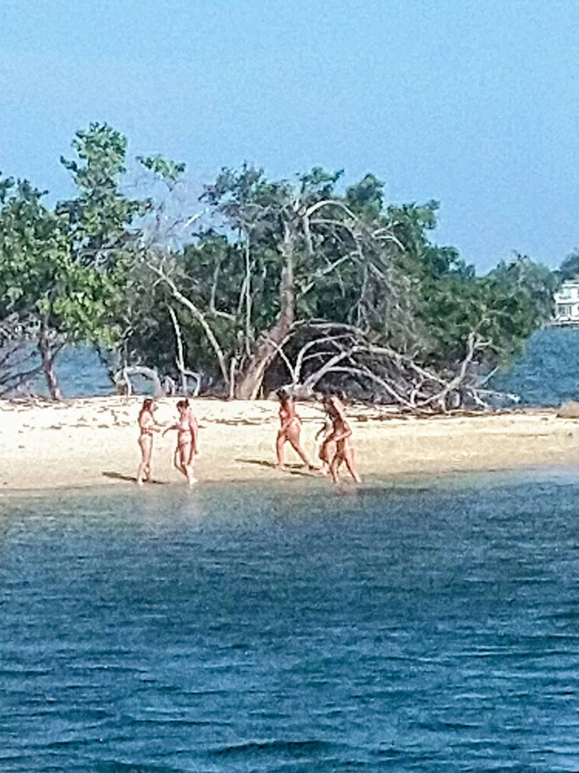 Custom 40 Ft Party Boat Coast Guard Certified for up to 20 Passengers 