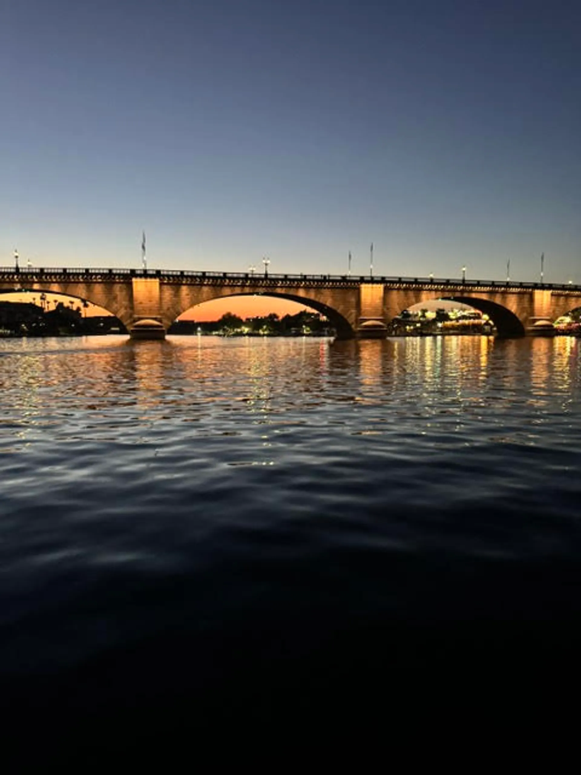 26' PARTY-TOON - CAPTAIN INCLUDED