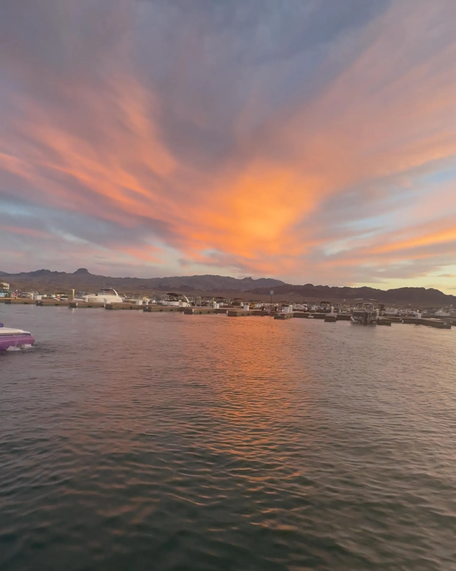 26' PARTY-TOON - CAPTAIN INCLUDED