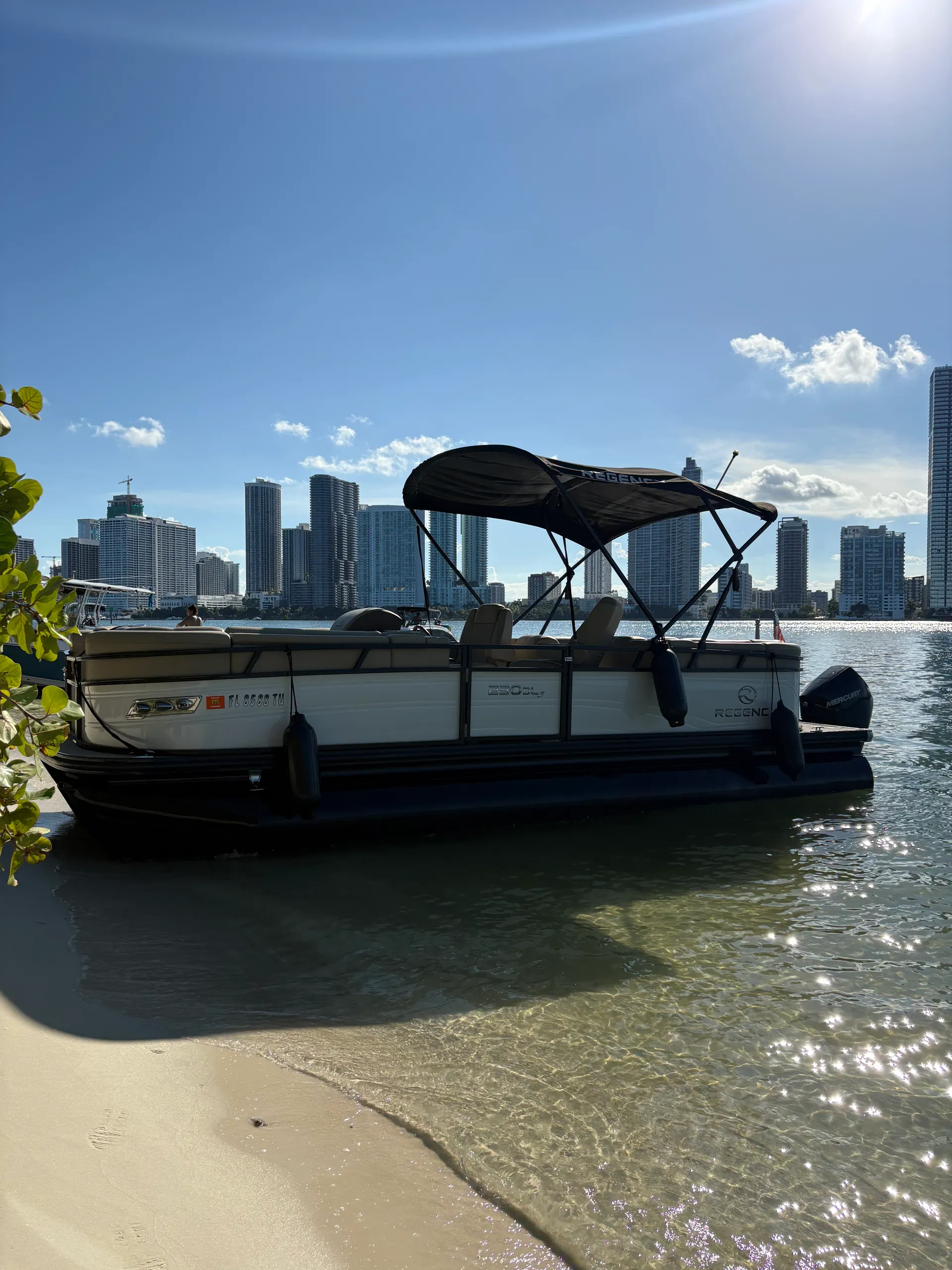 REGENCY 230 DL3 in Miami Beach, FL — photo 4