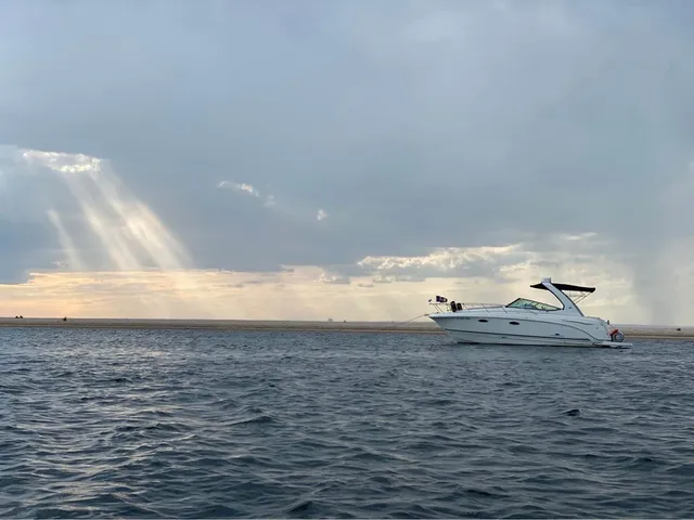 Rent a Chaparral Boats cruiser in The Bronx, NY near me