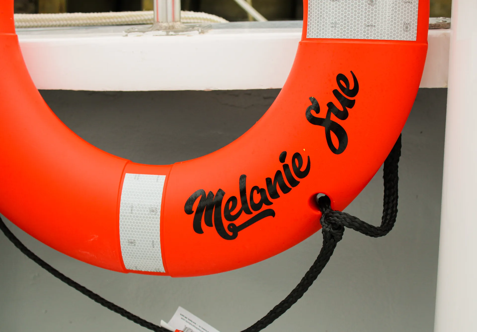 Sightseeing/fishing on the Chesapeake Bay - INCLUDES FUEL & FISH GEAR!