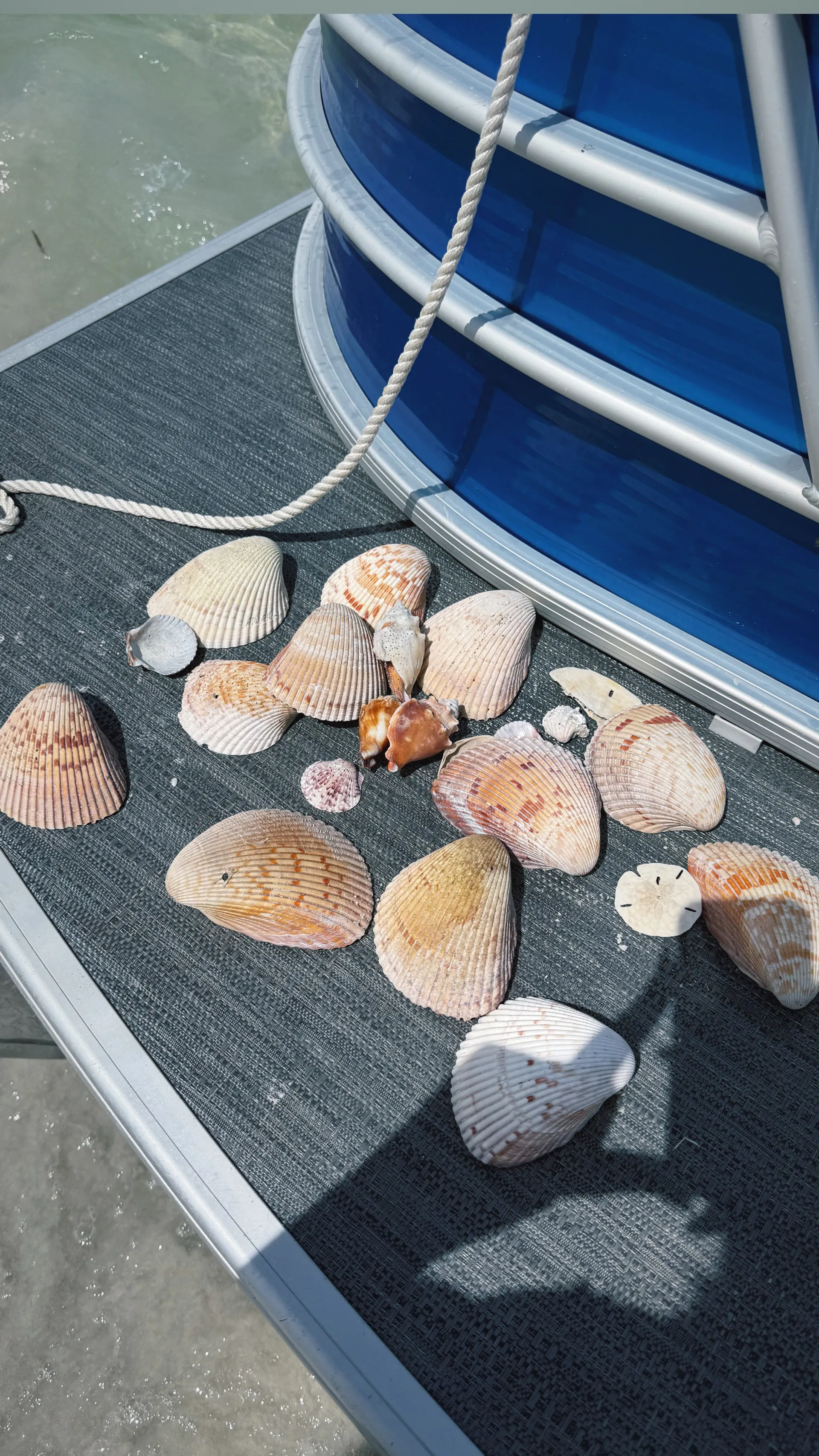 🚤 Tritoon Boat Rental – Explore Tampa Bay in Style! 🌞🌊