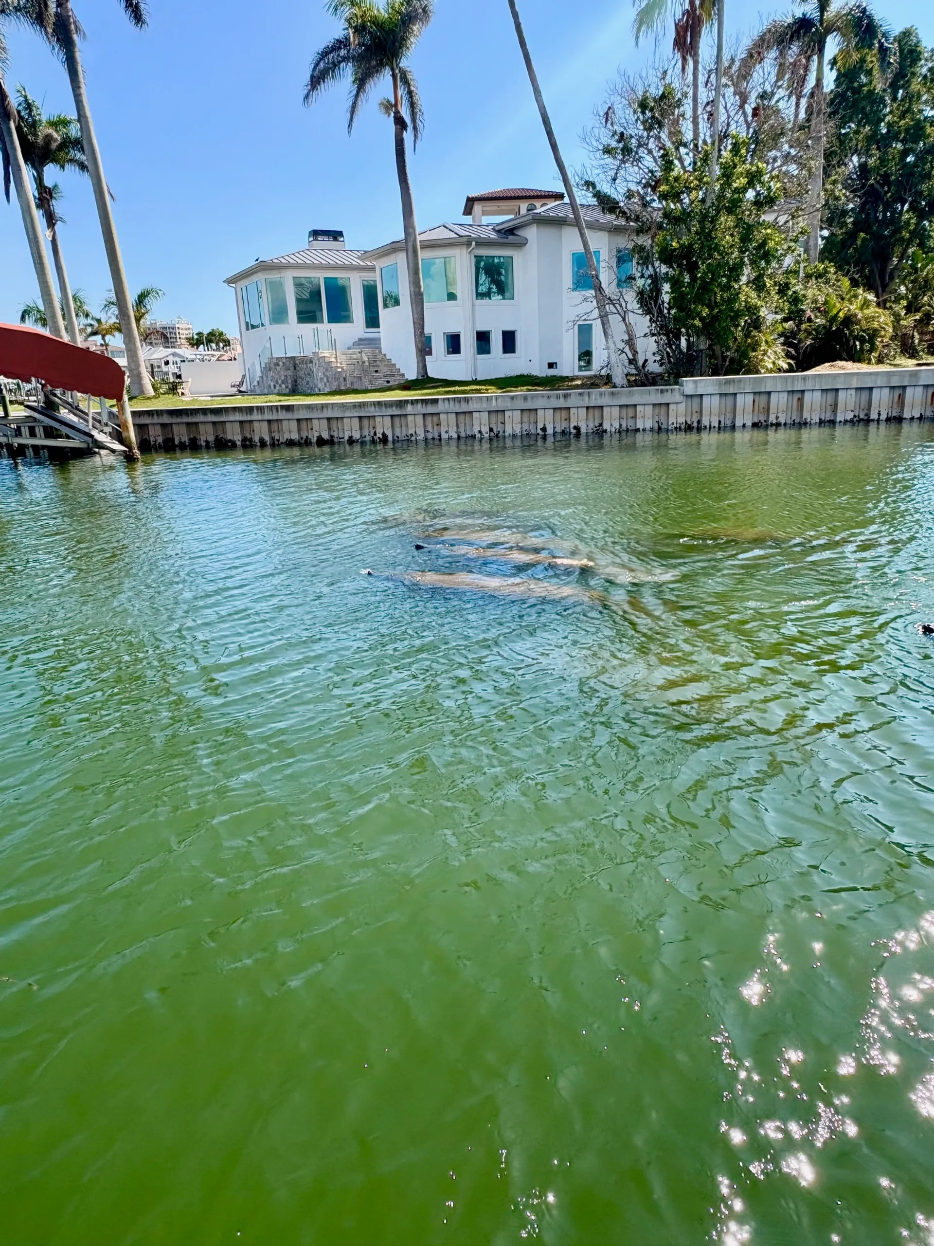 Tortuga Boat Adventures
