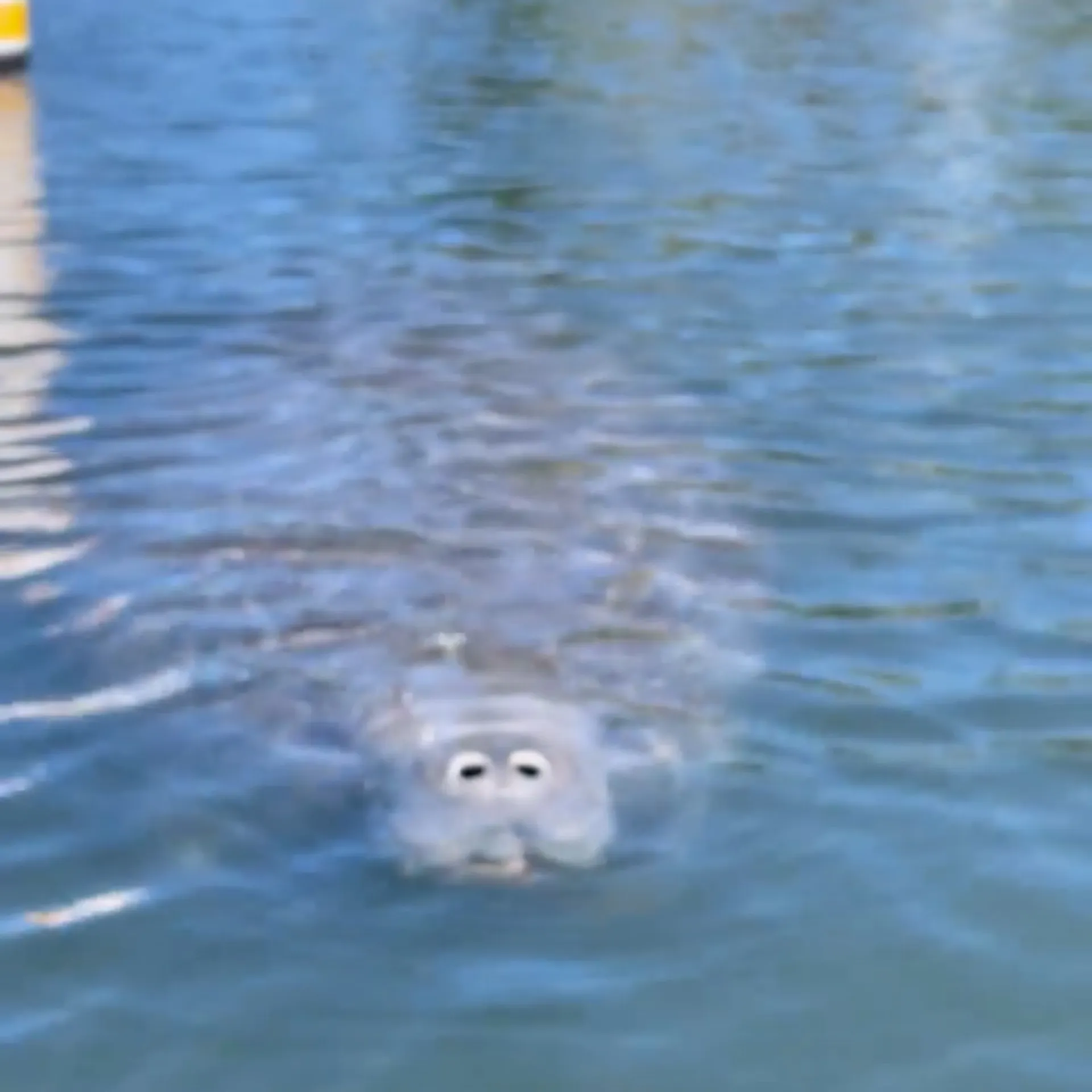 Fun Spacious Deck Boat Seats up to 10 Guests