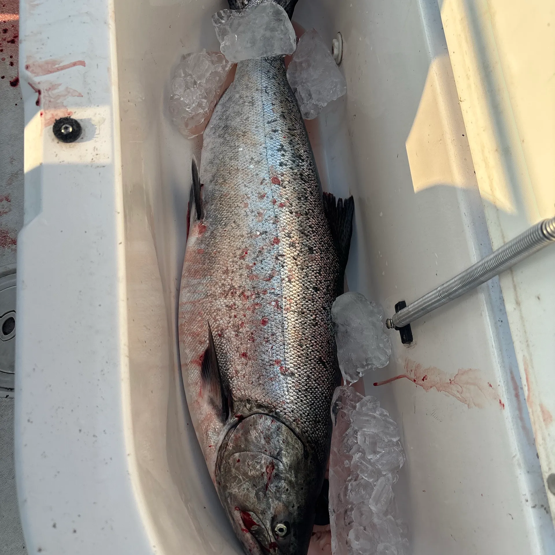 Pro-Line Sportsman 190 Center Console Boat Garmin & Bluetooth Stereo!