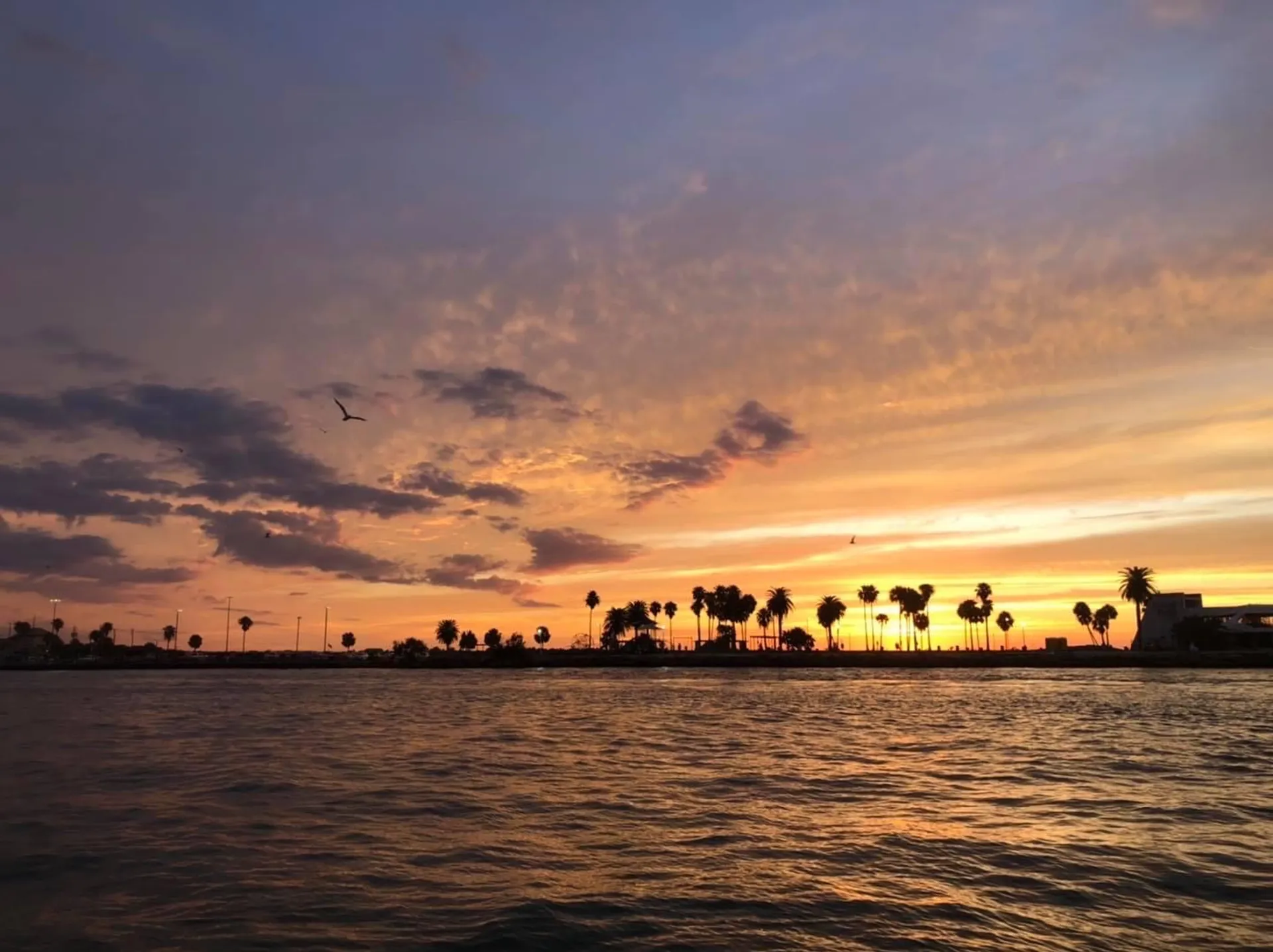 12 Passenger Pontoon - #1 Boat Rental in Galveston