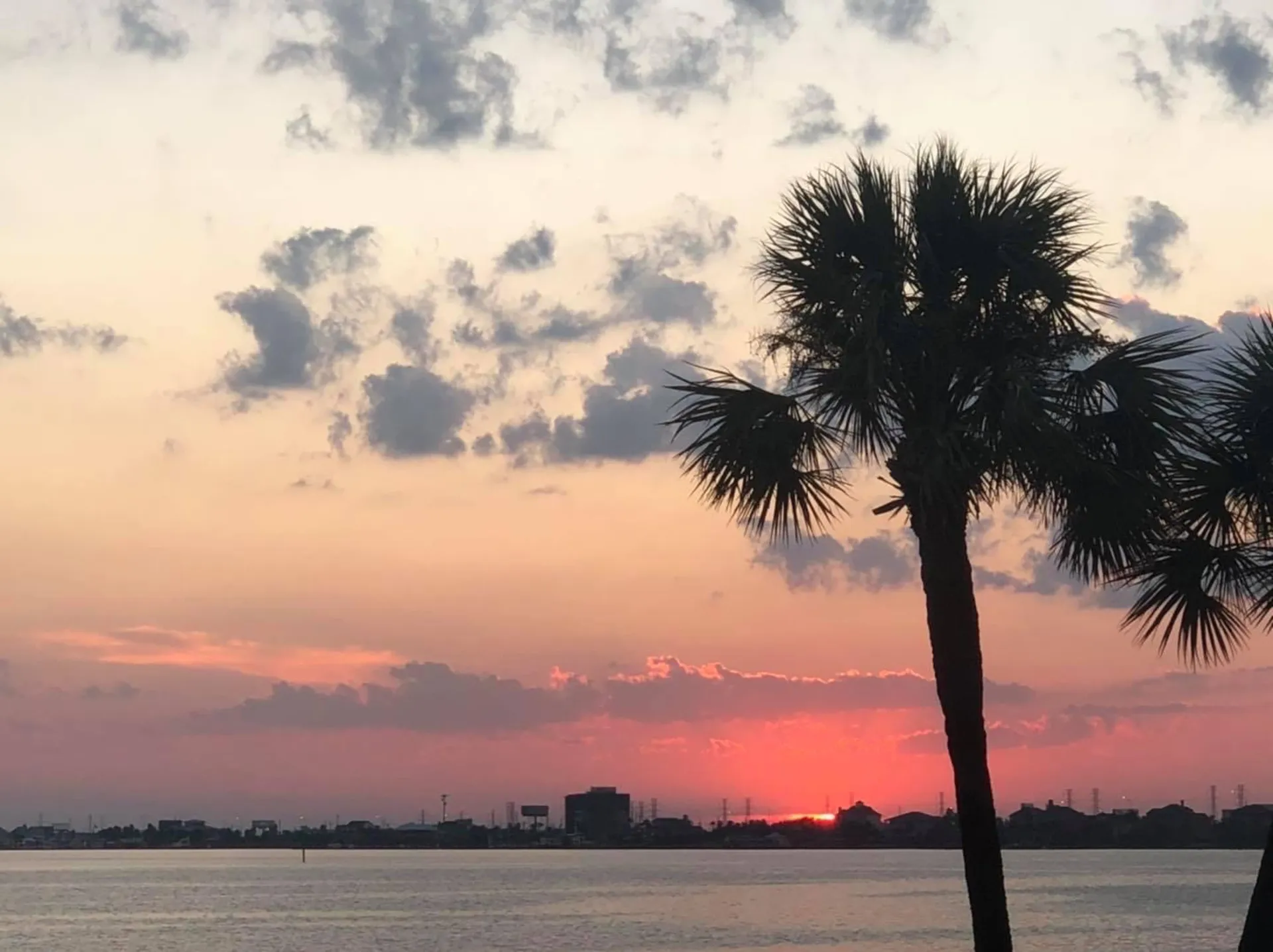 12 Passenger Pontoon - #1 Boat Rental in Galveston
