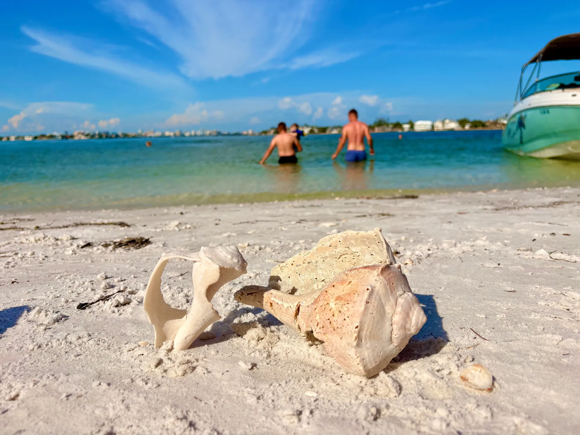 Tortuga Boat Adventures