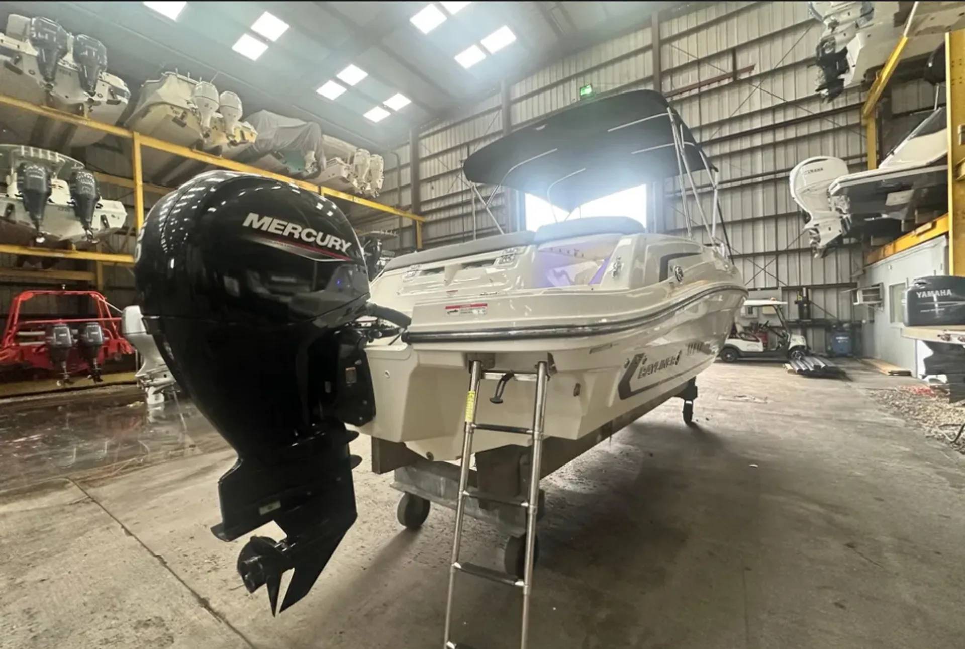 Luxury on the Water: New 2024 Bayliner, 2hr Gas and Captain Included