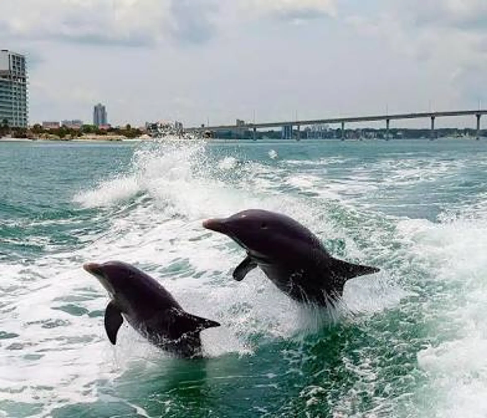 Miami: Celebrity mansions home tour and Private island charter