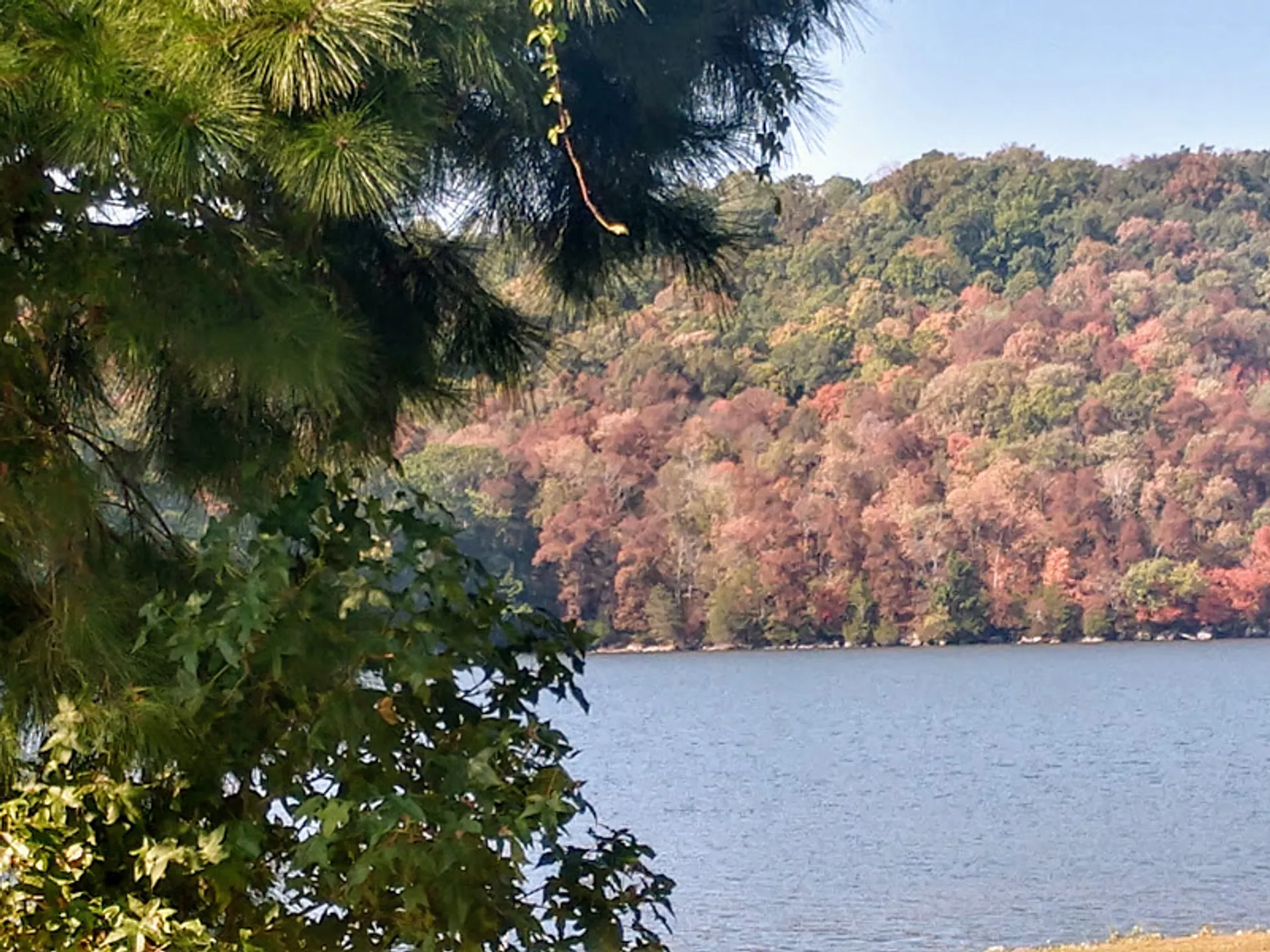Pontoon Boat Rental on Melton Hill Lake in East Tennessee