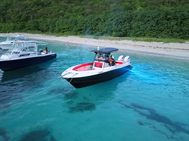 Rent a HYDRASPORTS BOATS center console in Fajardo,  near me