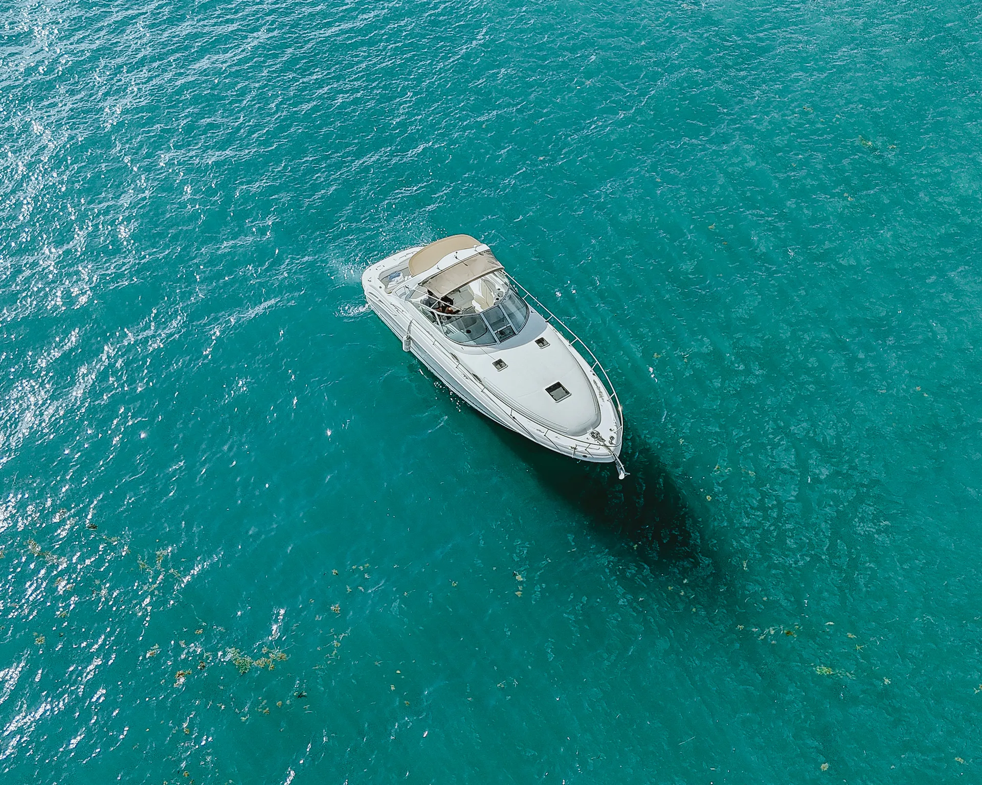 Sea Ray Boats Sundancer 340 in Miami, FL — photo 7