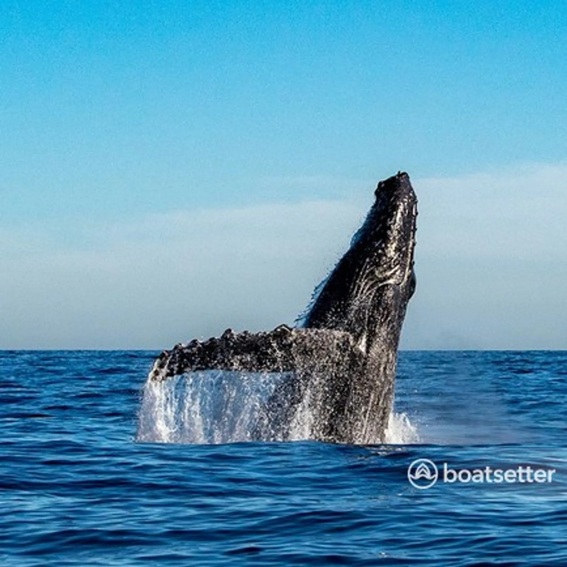 Fireworks viewing private 🎉 party. See them from the ocean, Sunsets