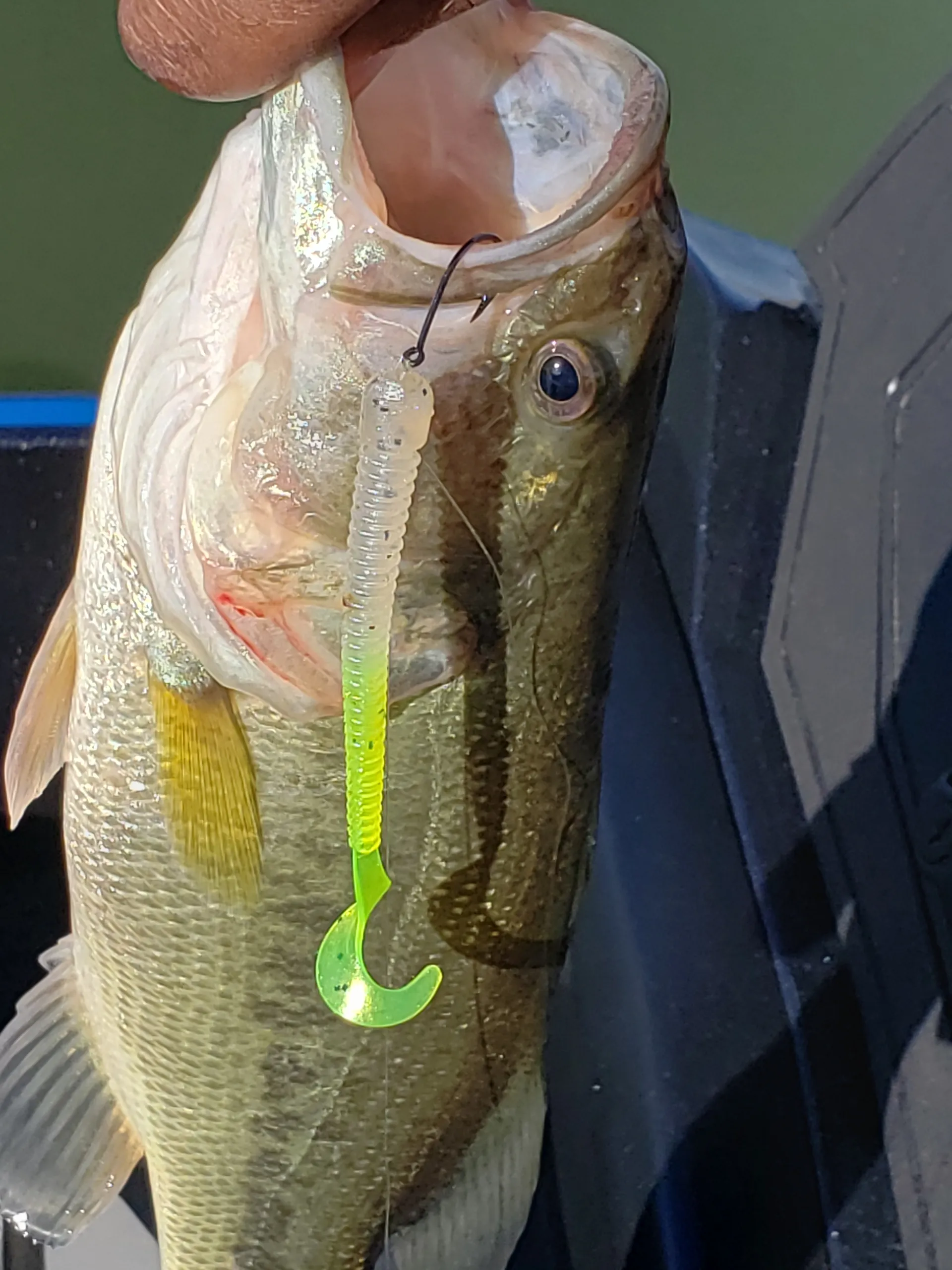 Non-Guided Fishing Boat Rental | Fish Along With Owner