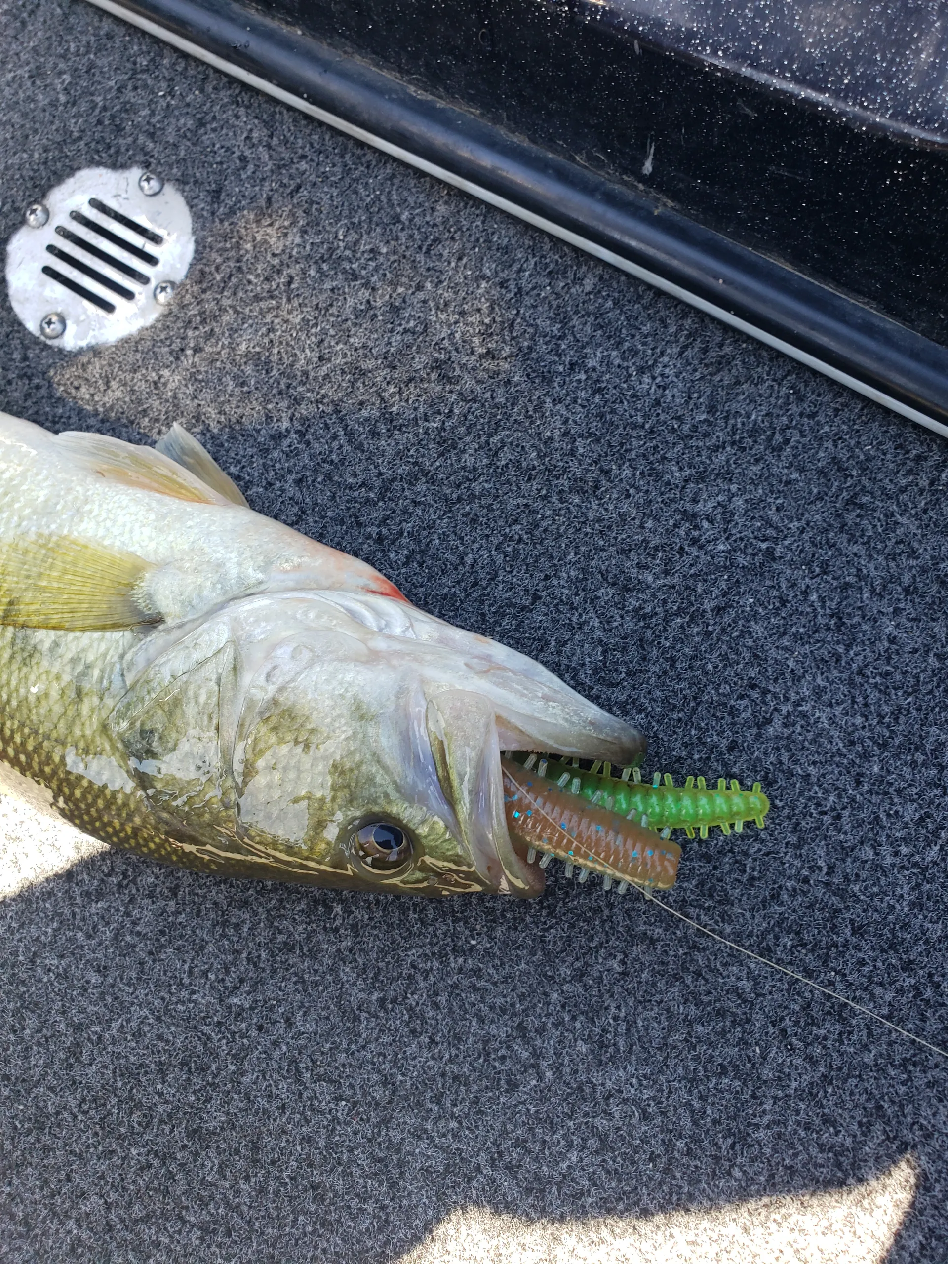 Non-Guided Fishing Boat Rental | Fish Along With Owner