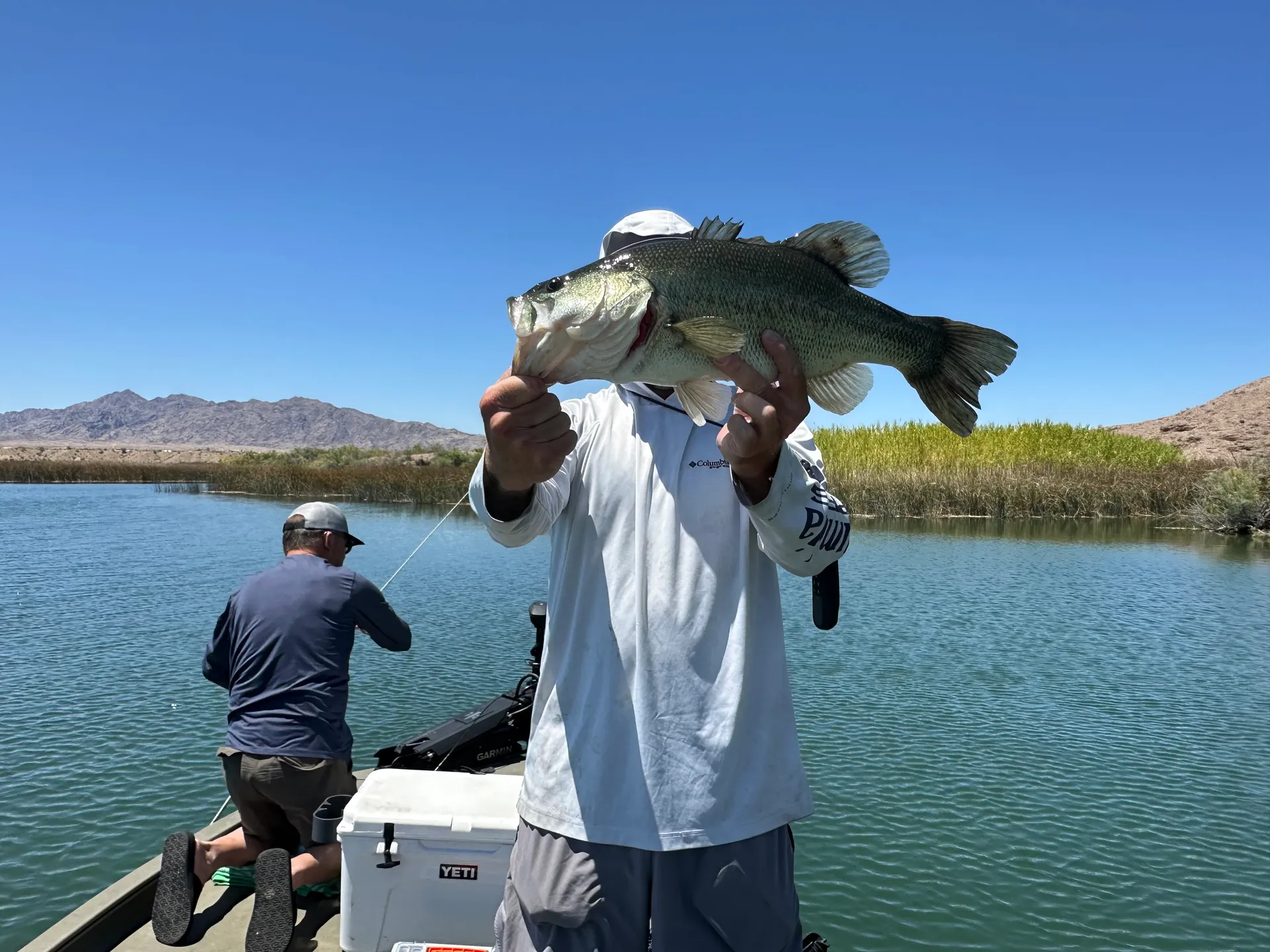 2022 Grizzly 1754 - Perfect for Bass Fishing and Exploring Havasu