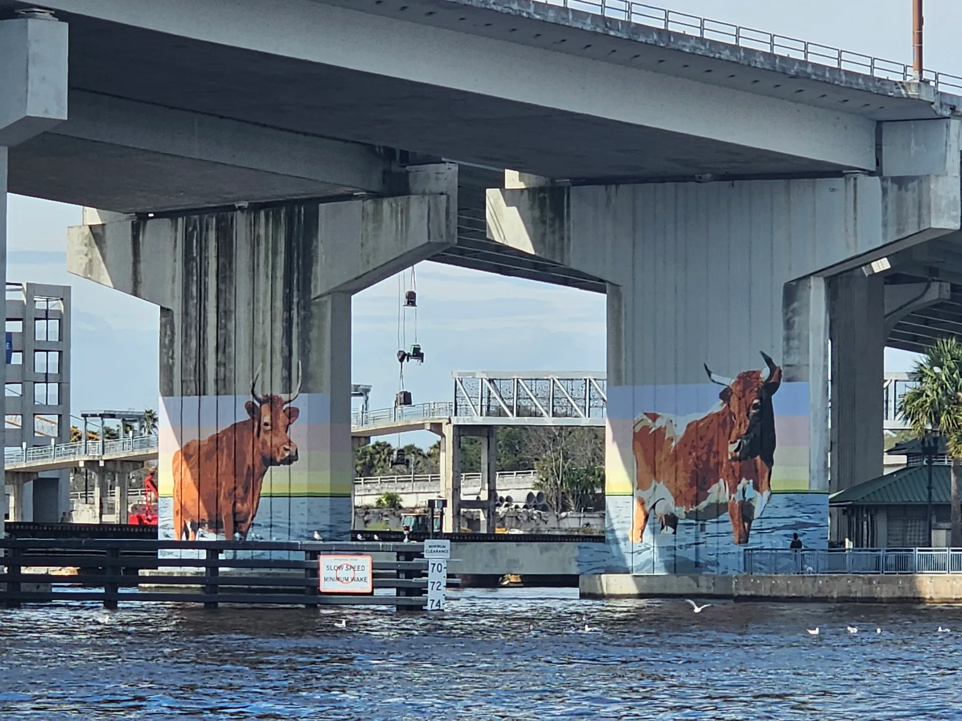 Great boat with lots of space, can do anything