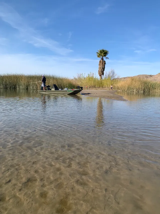 Rent a TRACKER BY TRACKER MARINE aluminum fishing in Lake Havasu City, AZ near me