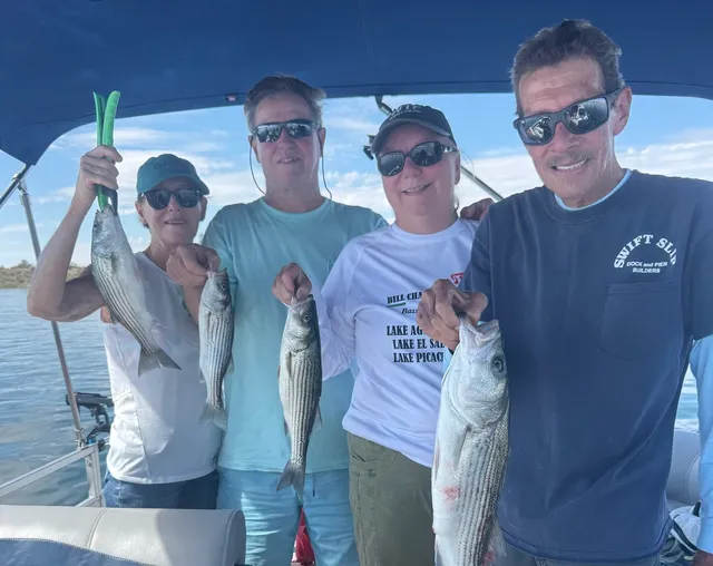 Rent a PLAYCRAFT BOATS pontoon in Lake Havasu City, AZ near me