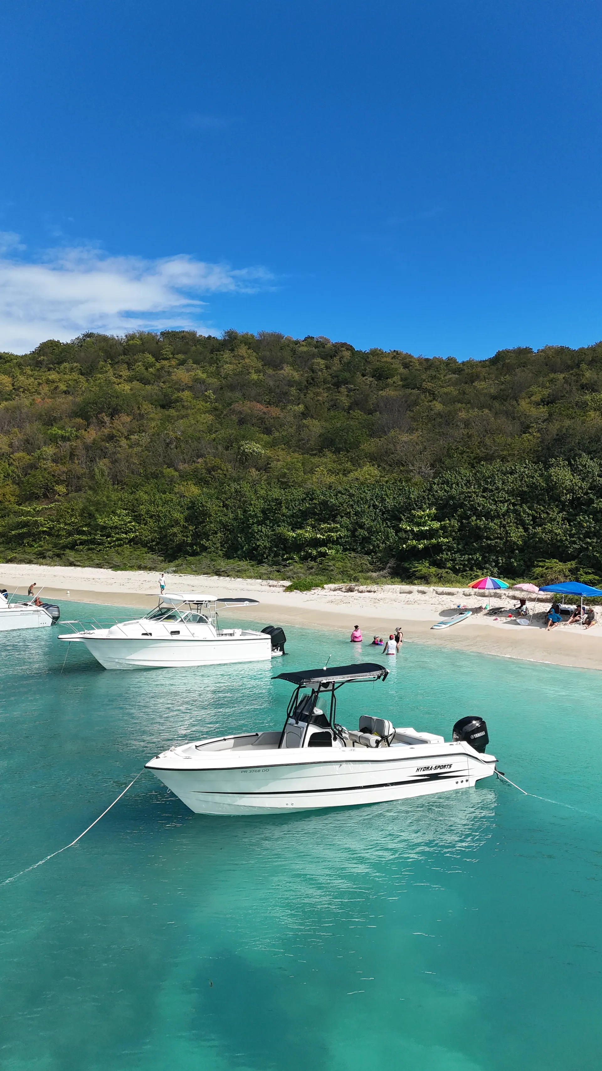 Caribbean Escape: Cayo Icacos & Palomino Island Adventure