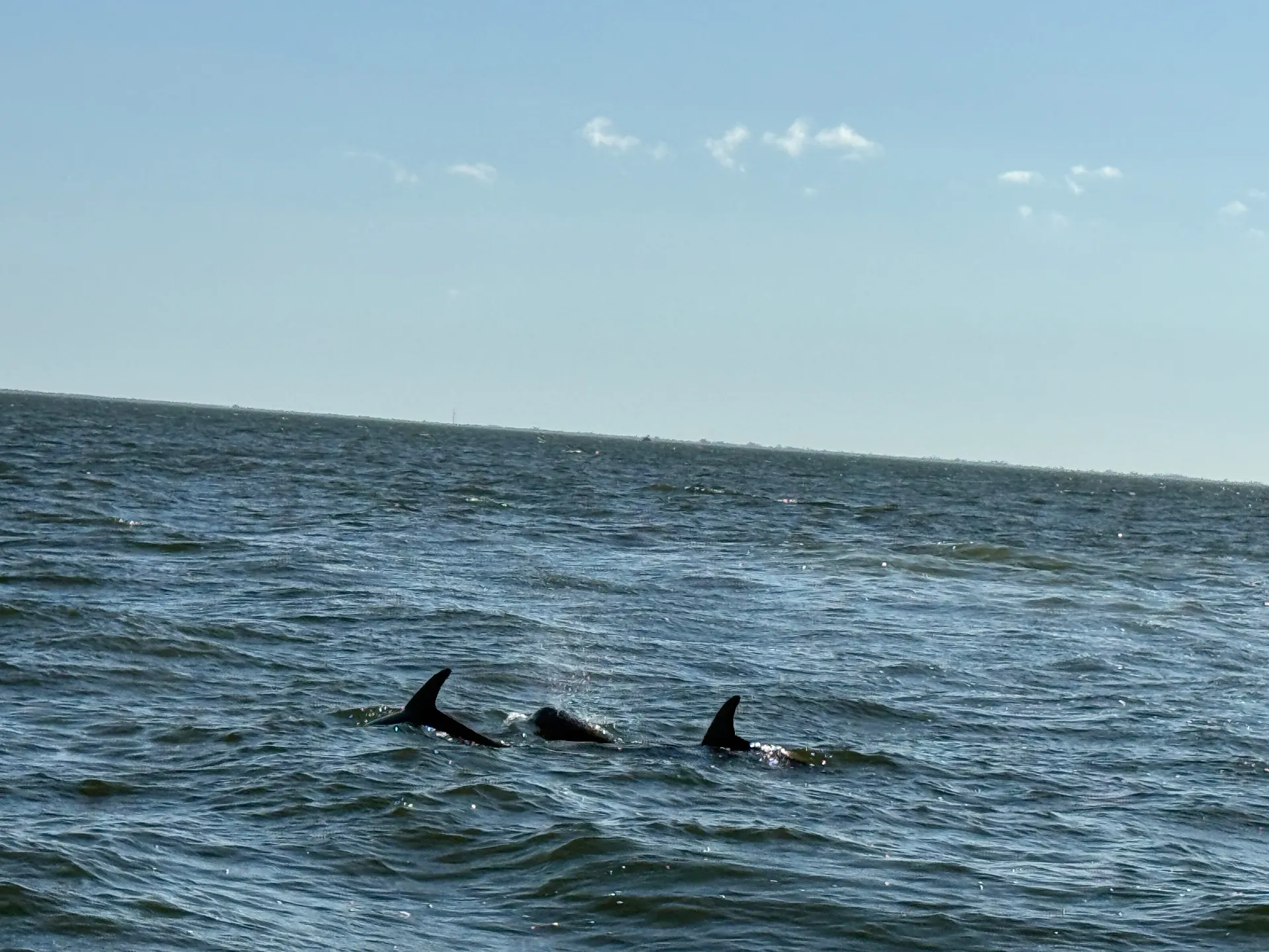 🚤 Rent a 2020 Key West 203DFS – Explore Beautiful Charlotte Harbor! 