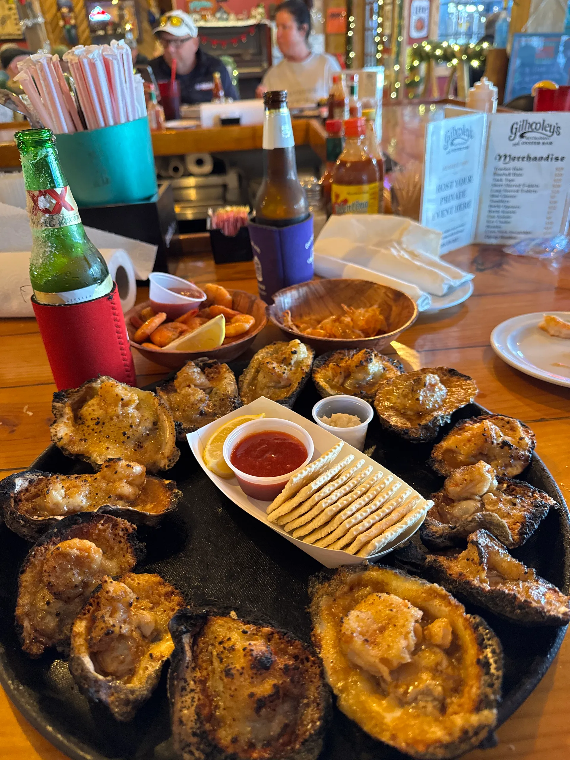 Clear Lake and Galveston Bay Excursions  