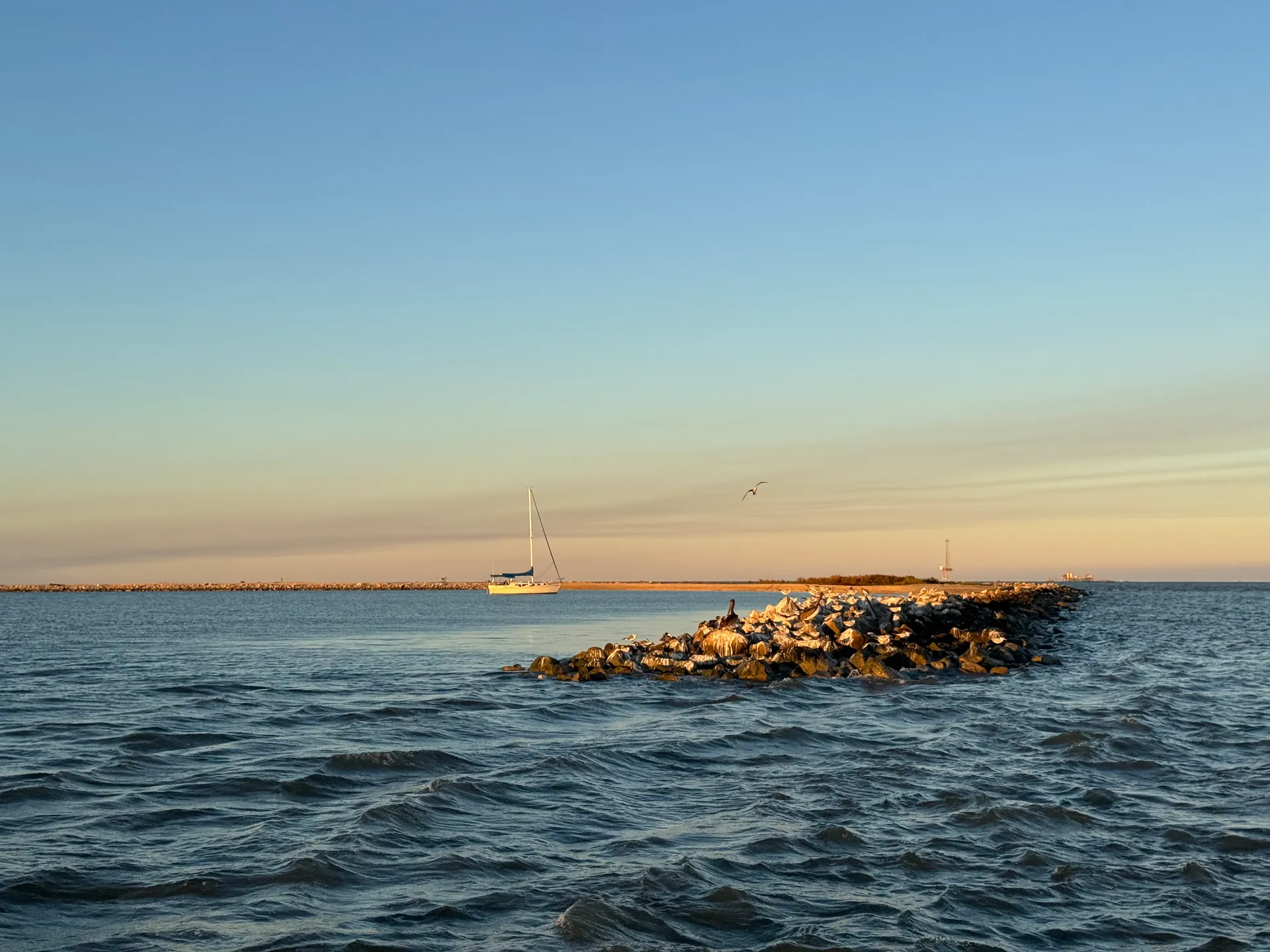 Clear Lake and Galveston Bay Excursions  