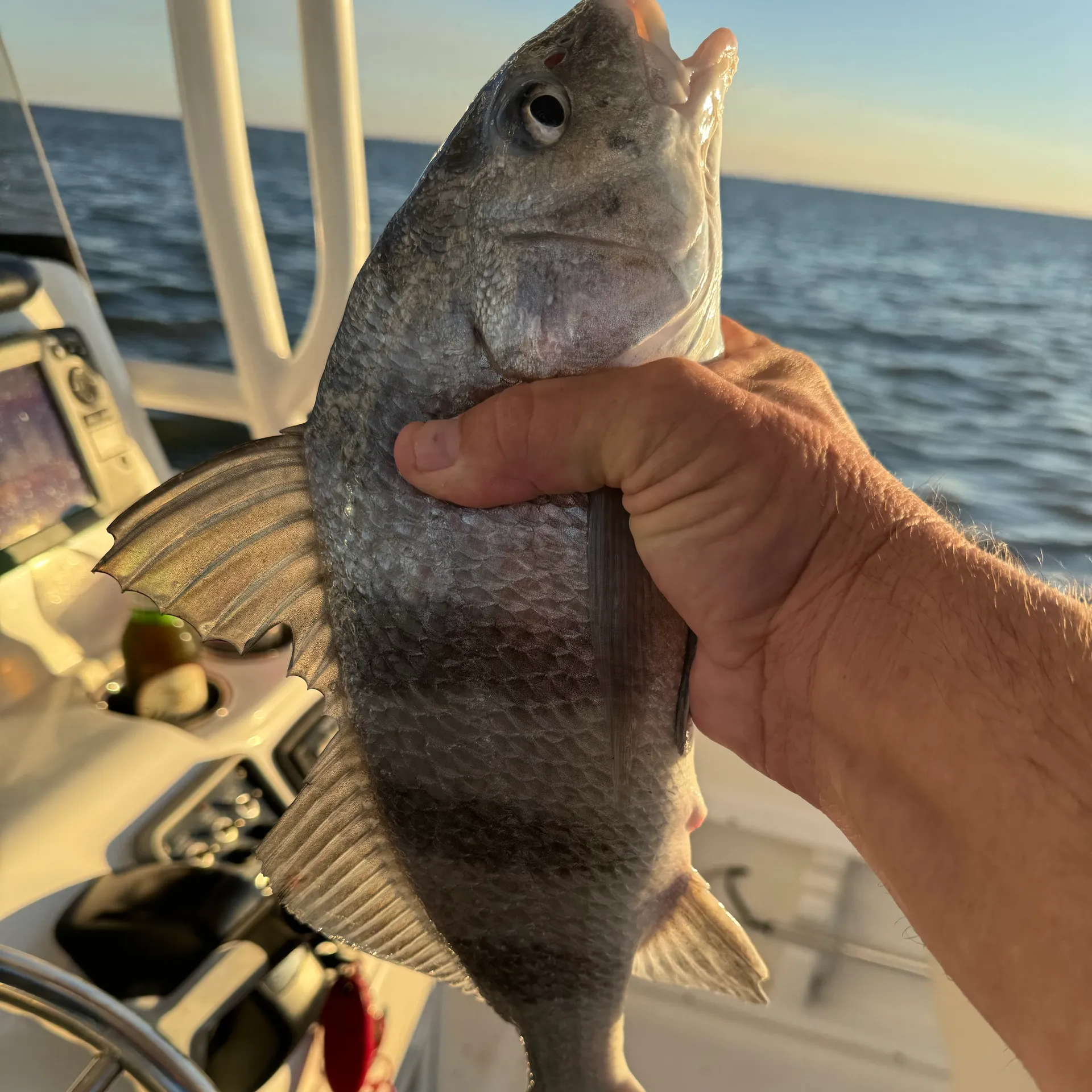 Clear Lake and Galveston Bay Excursions  