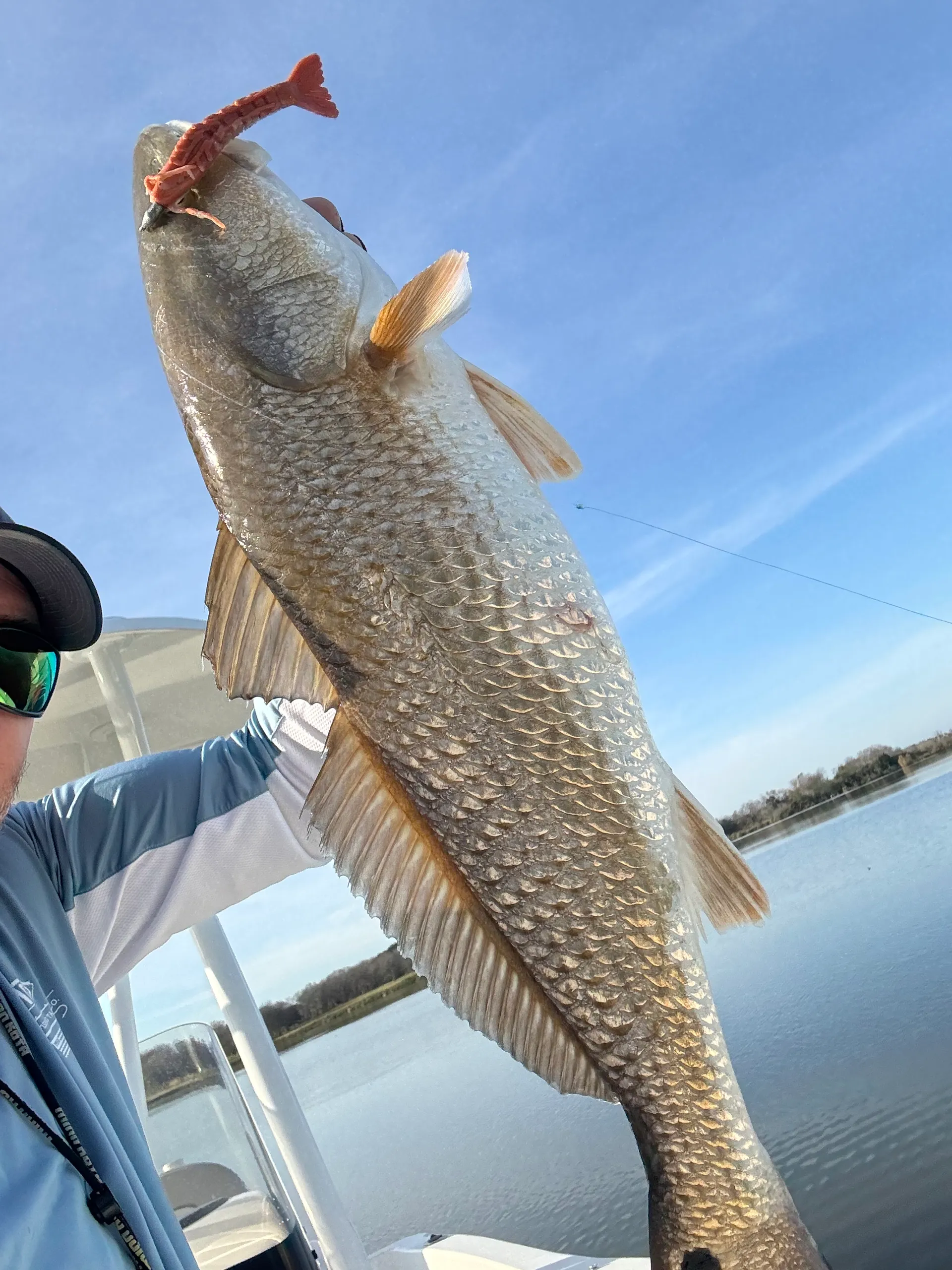 Clear Lake and Galveston Bay Excursions  