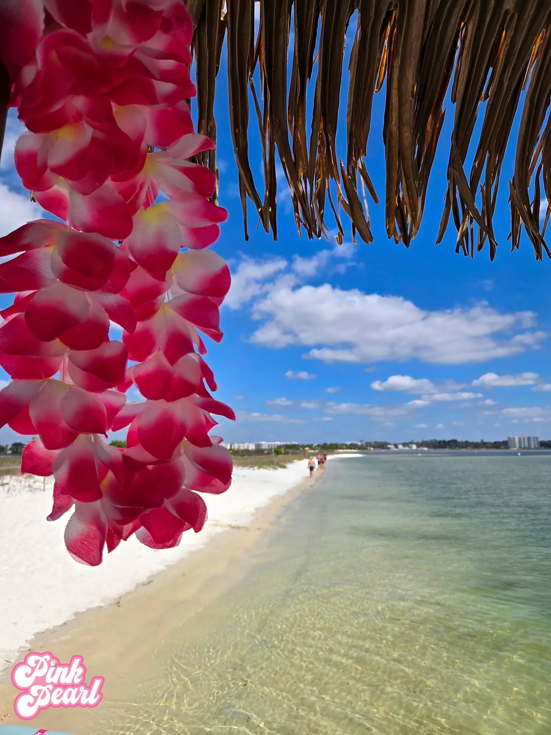 18 Passenger Tiki Boat with Captain