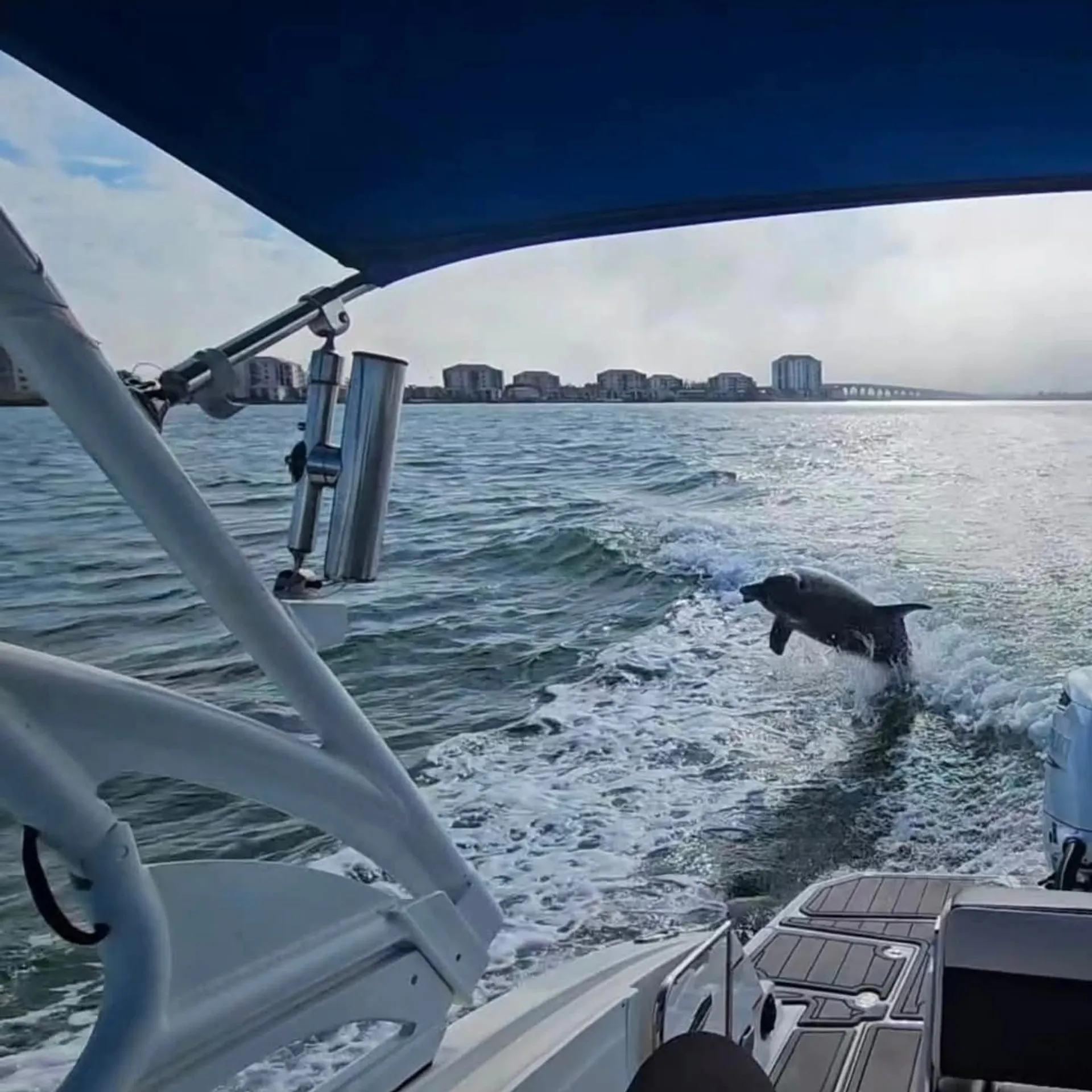 Boat tour for watersports, snorkeling, shelling, dolphins and sunsets 
