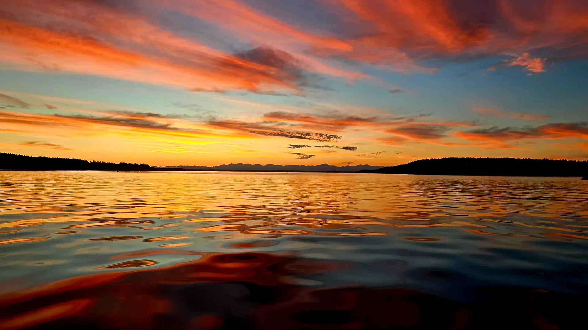 Sailing Charters in the South Puget Sound!