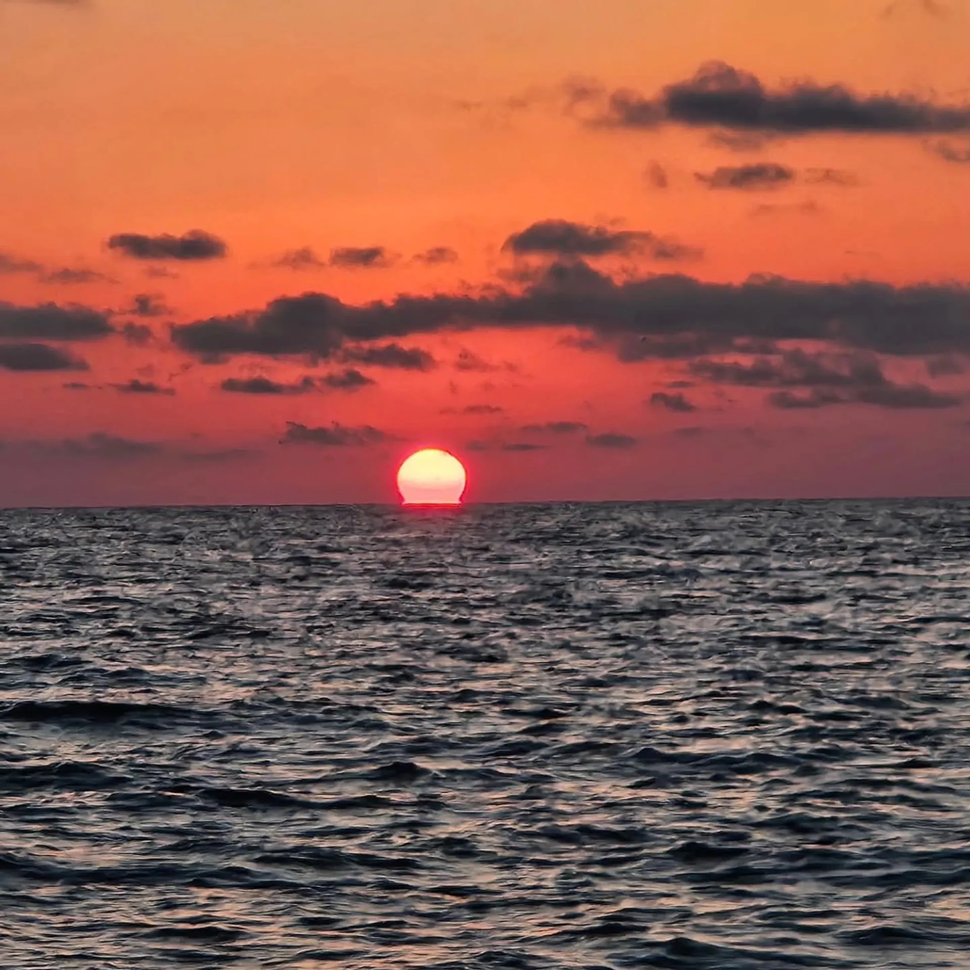 Boat tour for watersports, snorkeling, shelling, dolphins and sunsets 