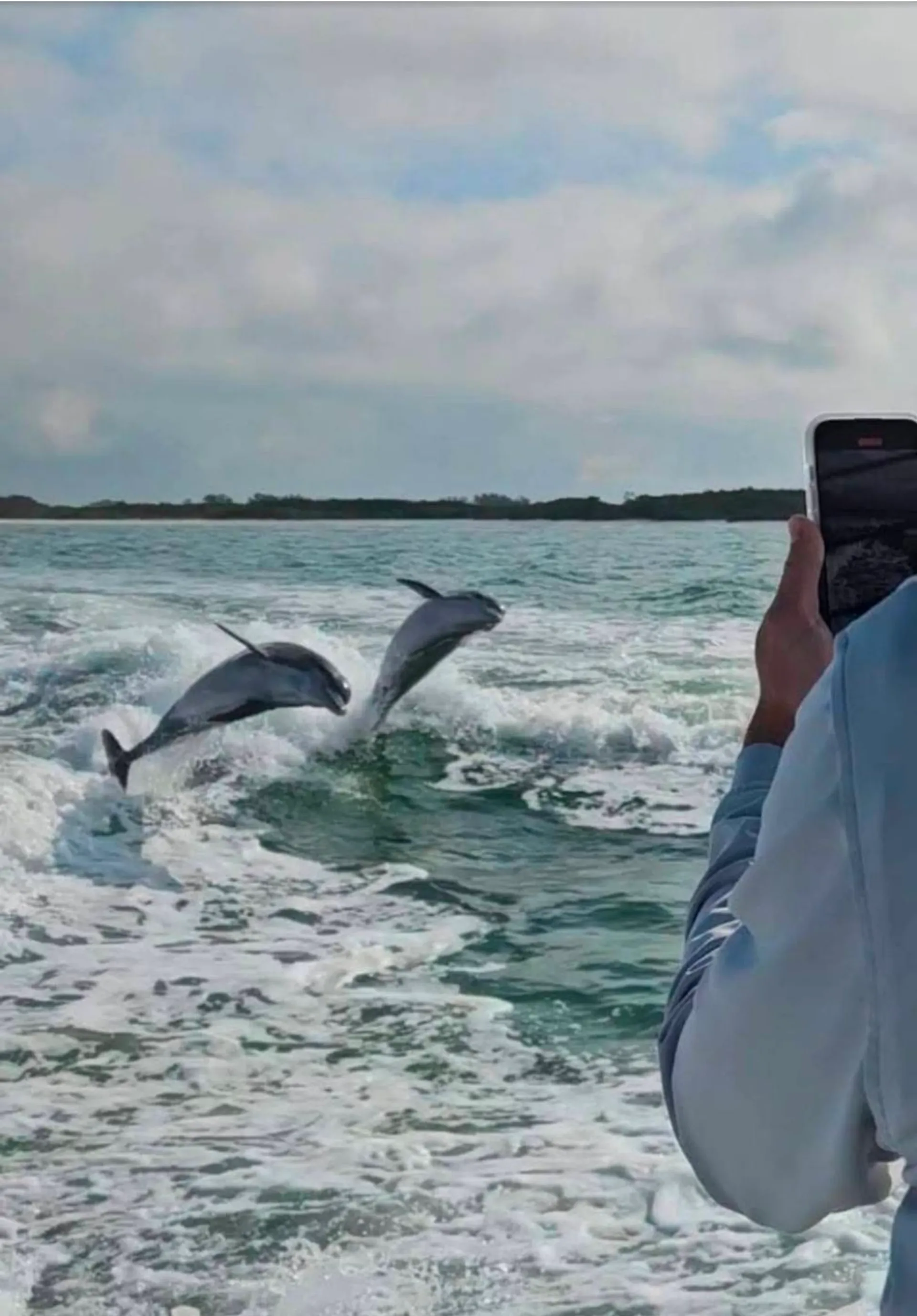Boat tour for watersports, snorkeling, shelling, dolphins and sunsets 
