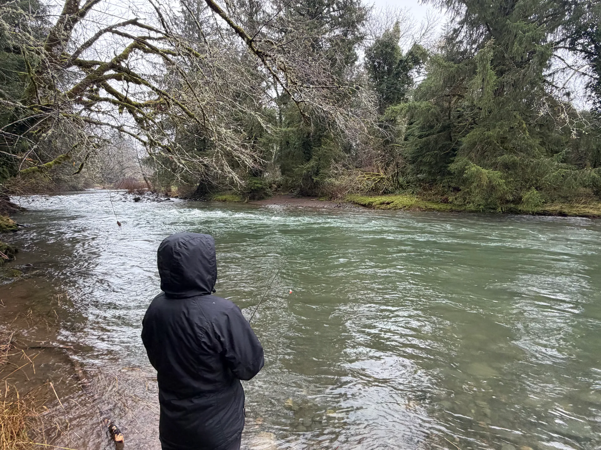 Guided Salmon/Steelhead Fishing Trips