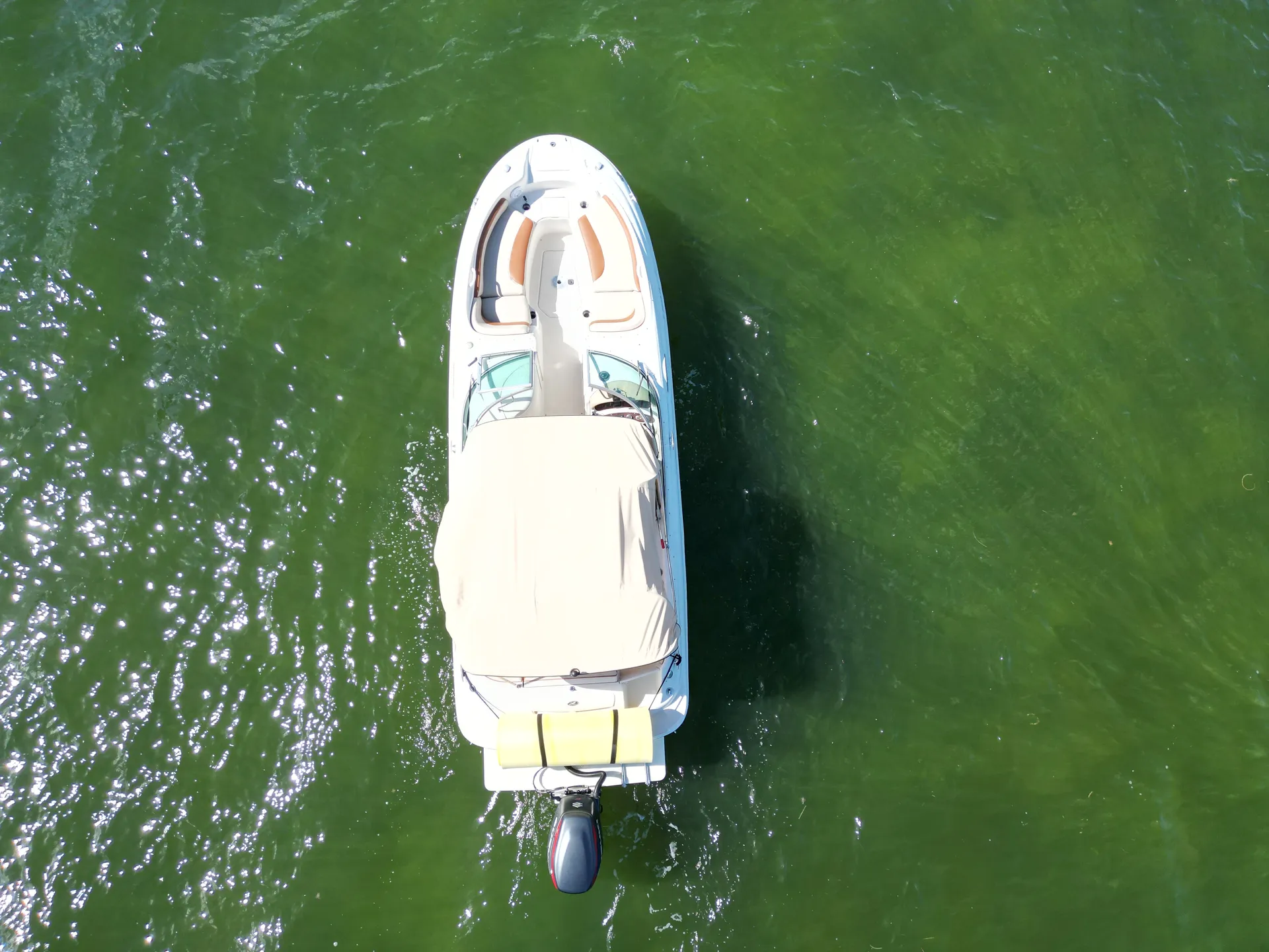 Sea Ray Boats 240 Sundeck in Miami, FL — photo 5