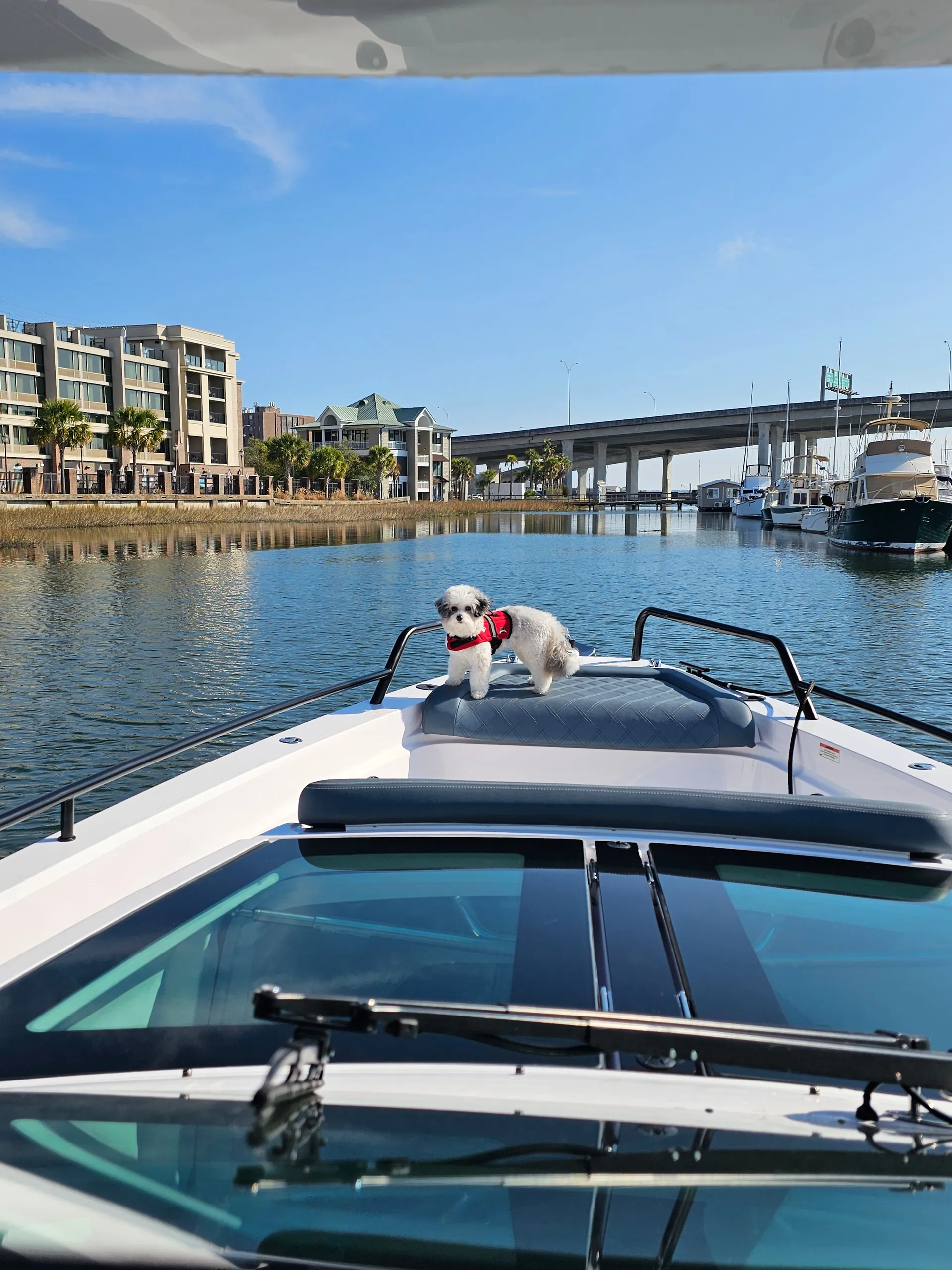 Brabus Axopar 37 Suntop up to 13 guests w/Restroom A/C and heat