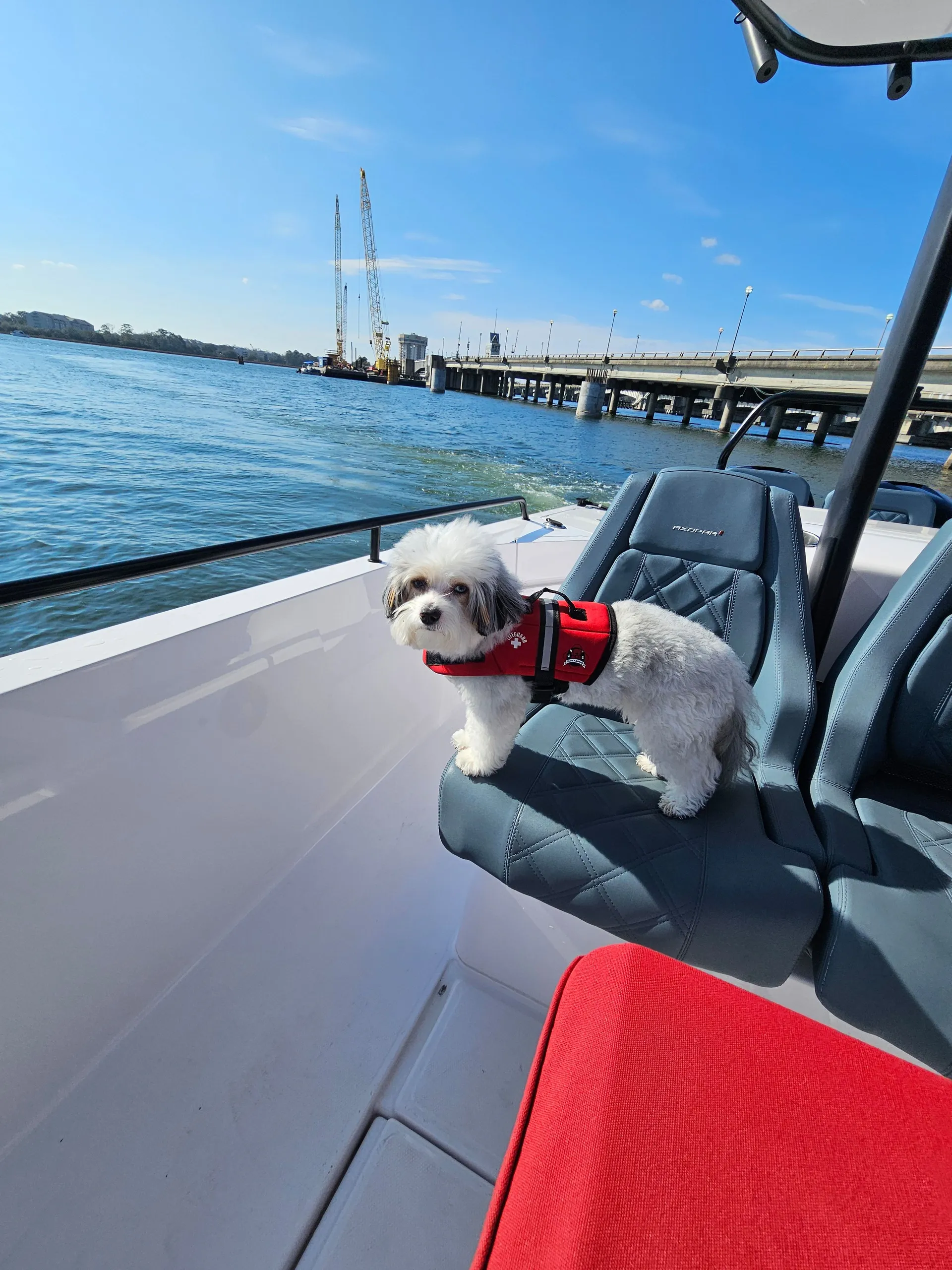 Brabus Axopar 37 Suntop up to 13 guests w/Restroom A/C and heat