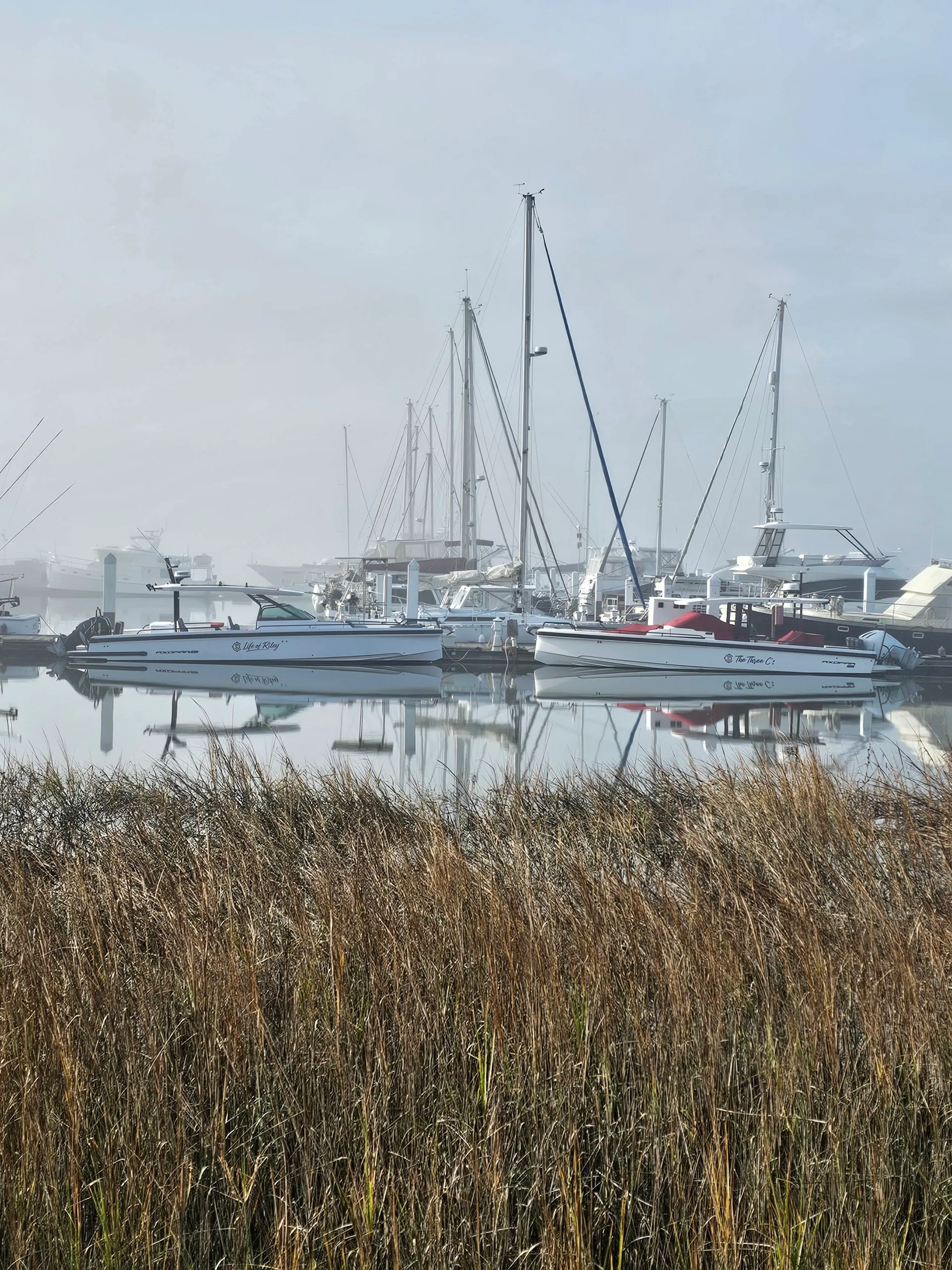 Brabus Axopar 37 Suntop up to 13 guests w/Restroom A/C and heat