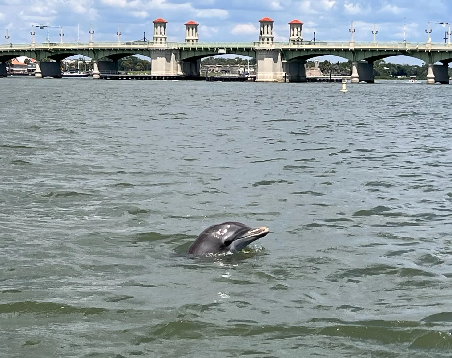 Private charter,bachelorette,family,bachelor,friends,dolphins, sunsets