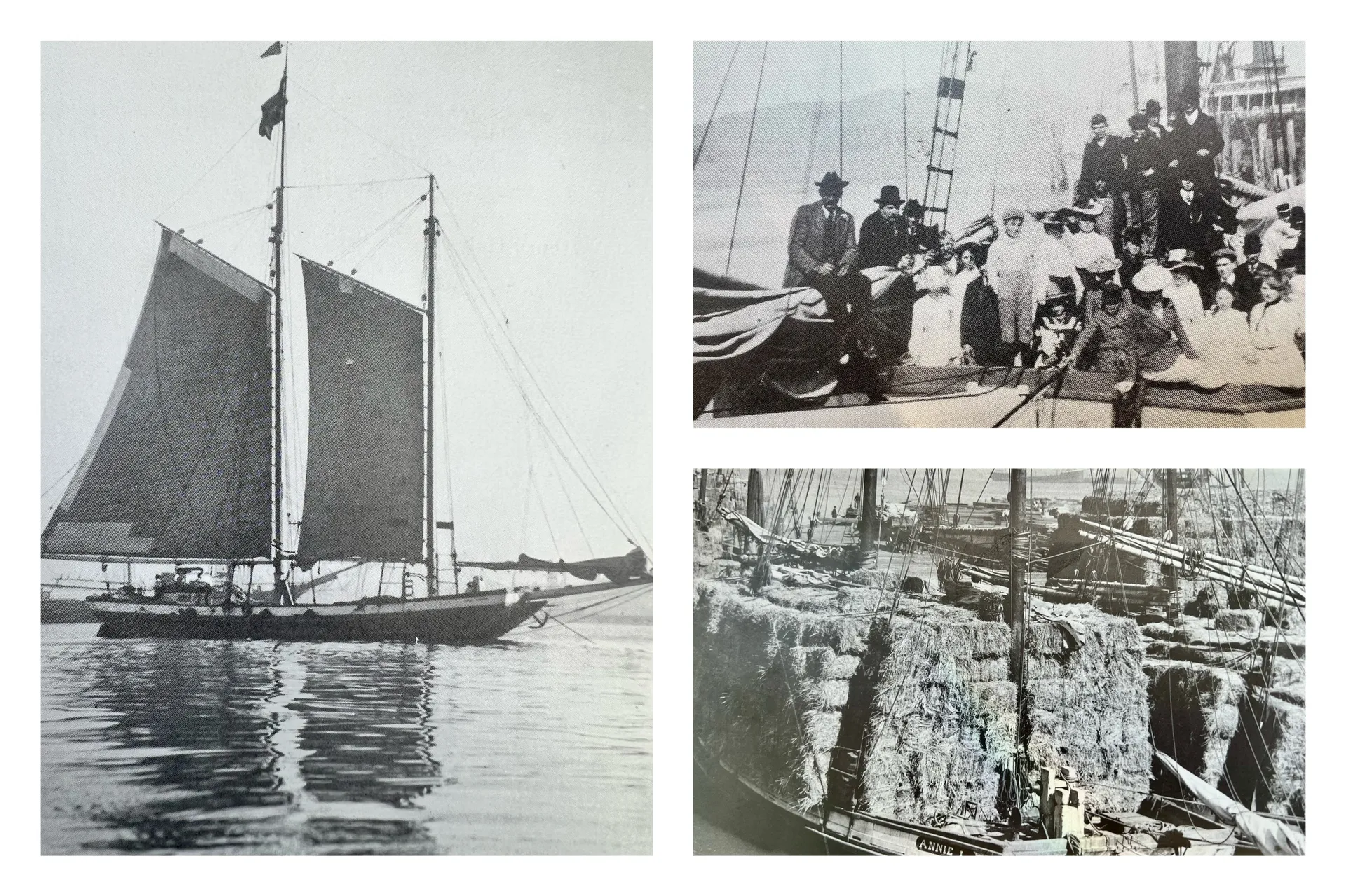 Set sail on a 72' tall ship schooner in San Francisco, CA.