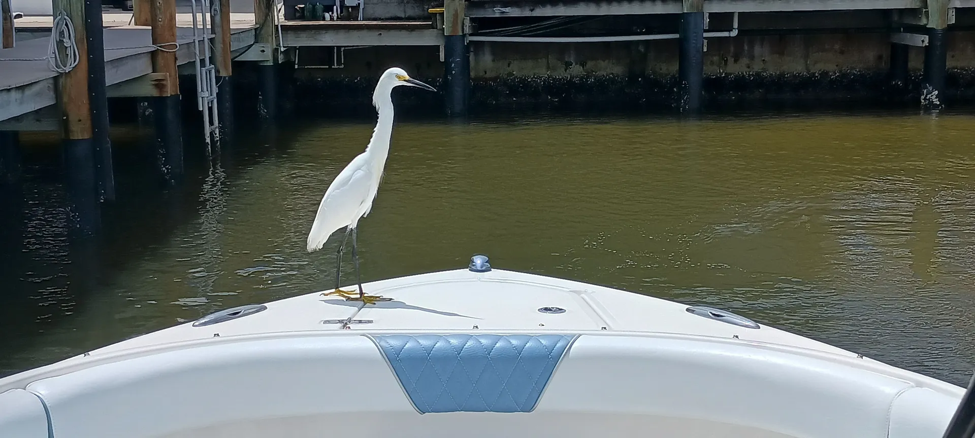 Deluxe 27' Tritoon w/ 300 HP Outboard in the heart of Naples