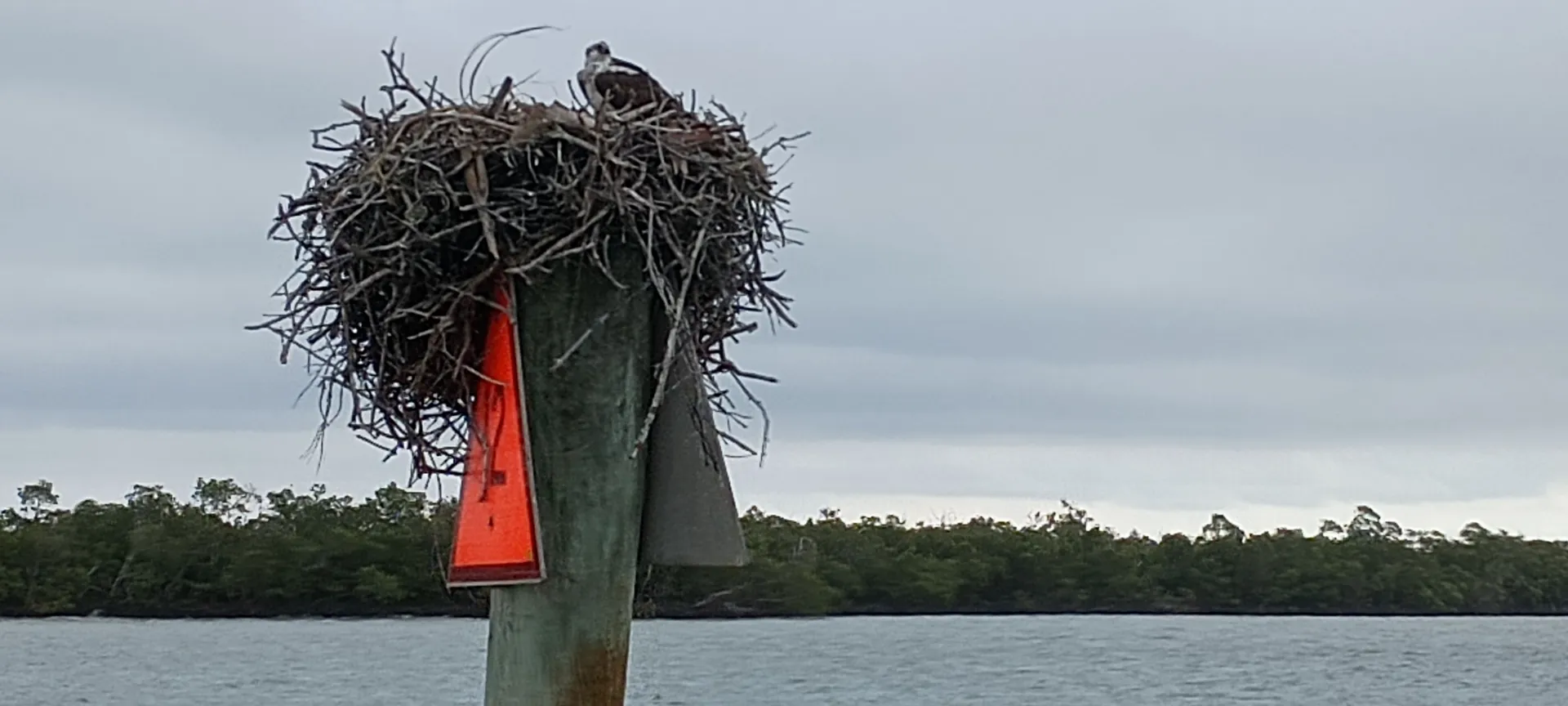 Deluxe 27' Tritoon w/ 300 HP Outboard in the heart of Naples